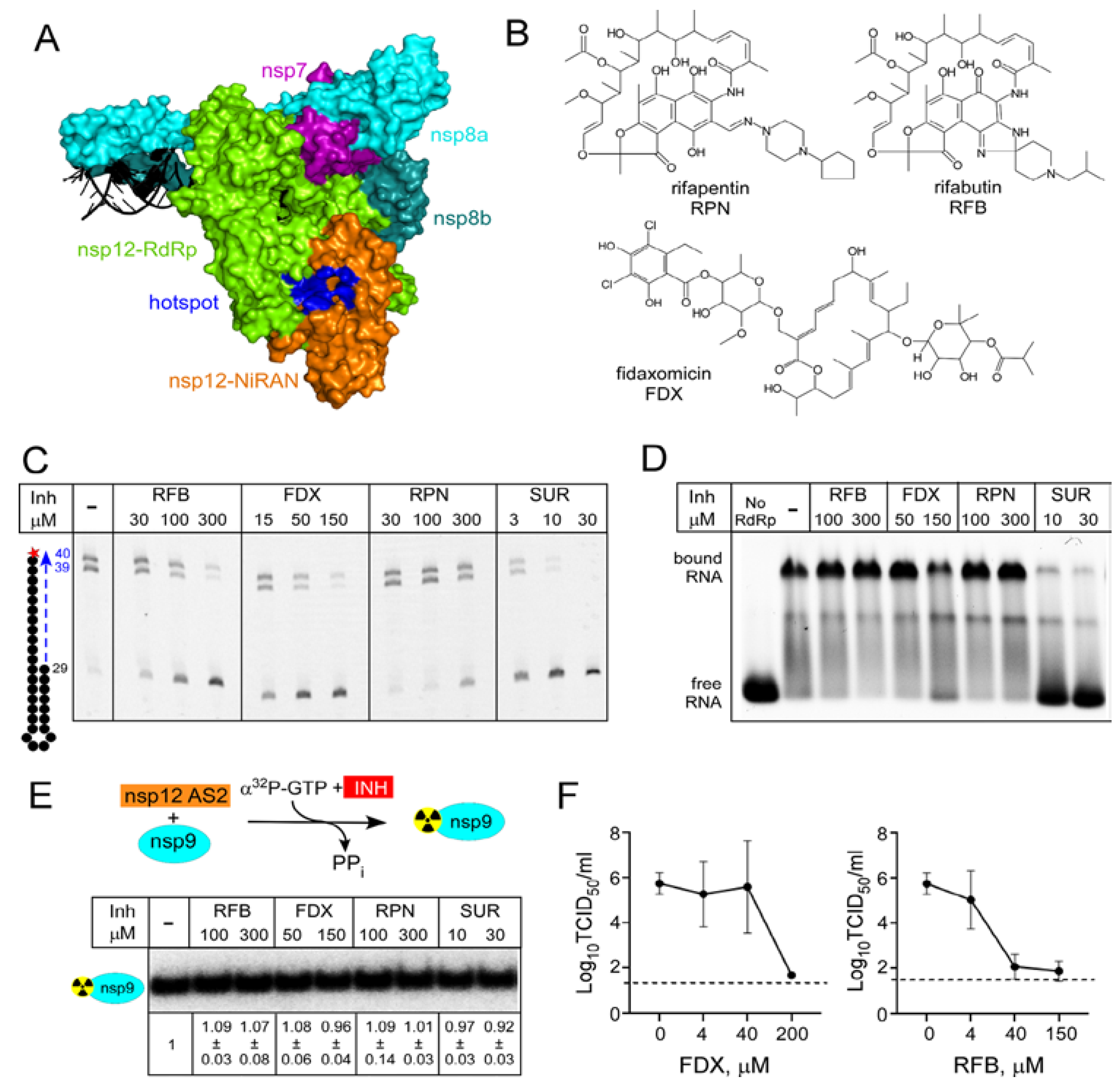 Molecules 27 03815 g004