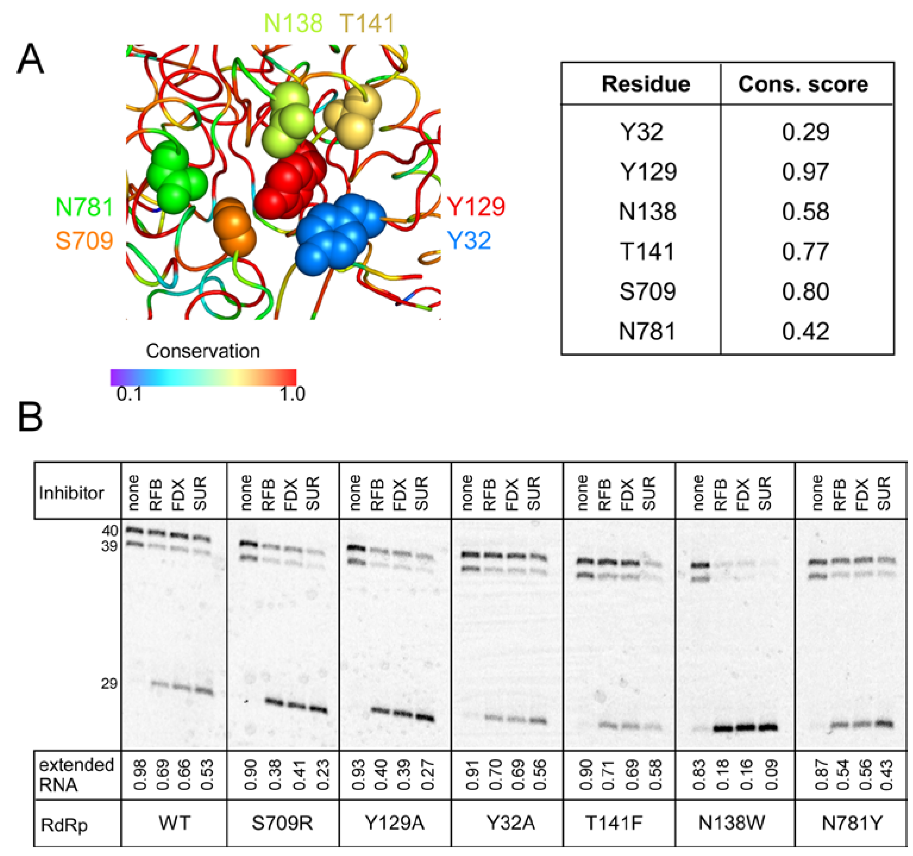 Molecules 27 03815 g005