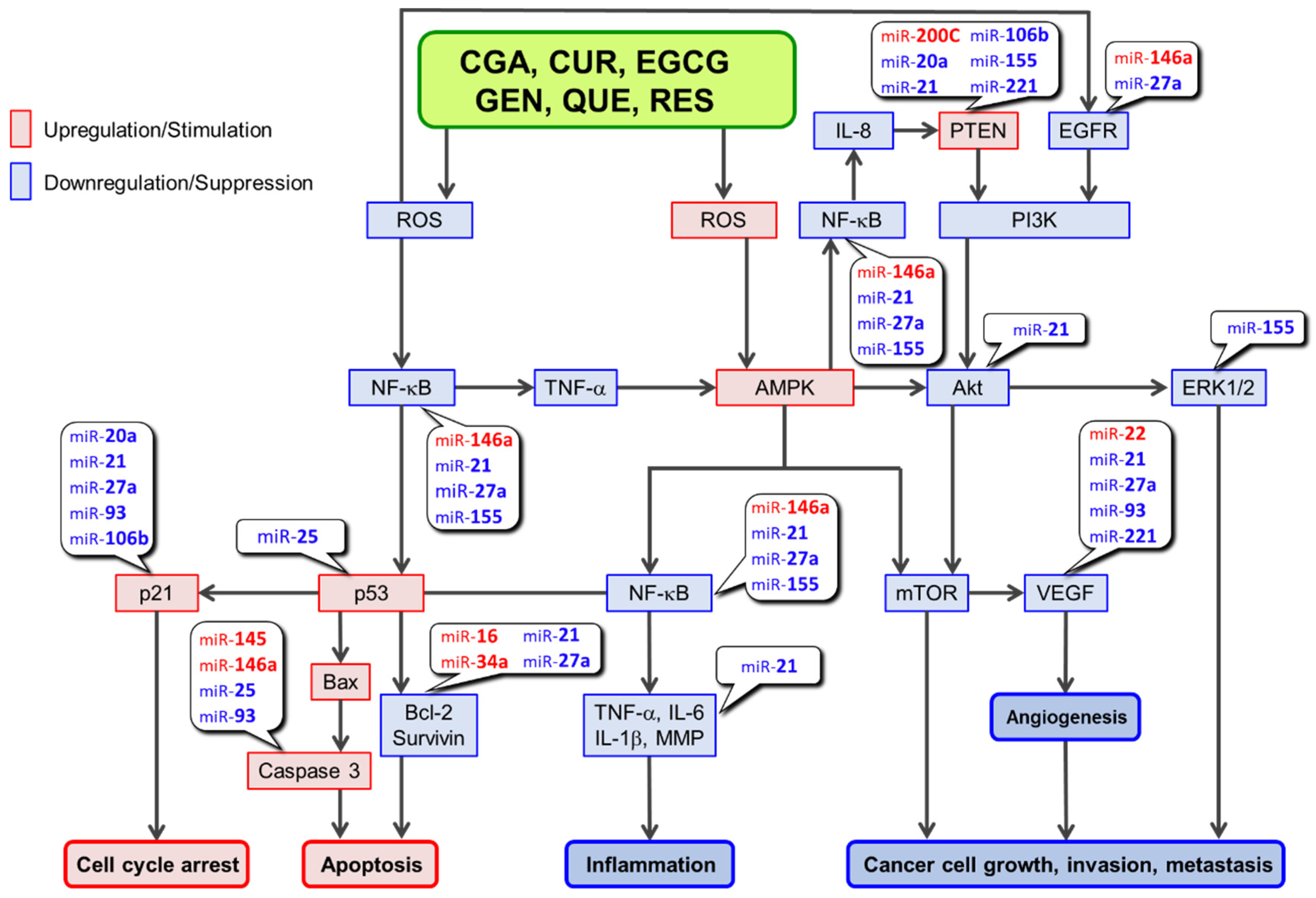 Molecules 27 03816 g002 Molecules 27 03816 g002