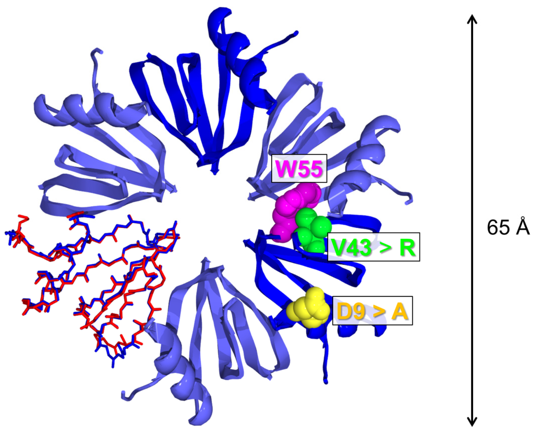 Molecules 27 03821 g001