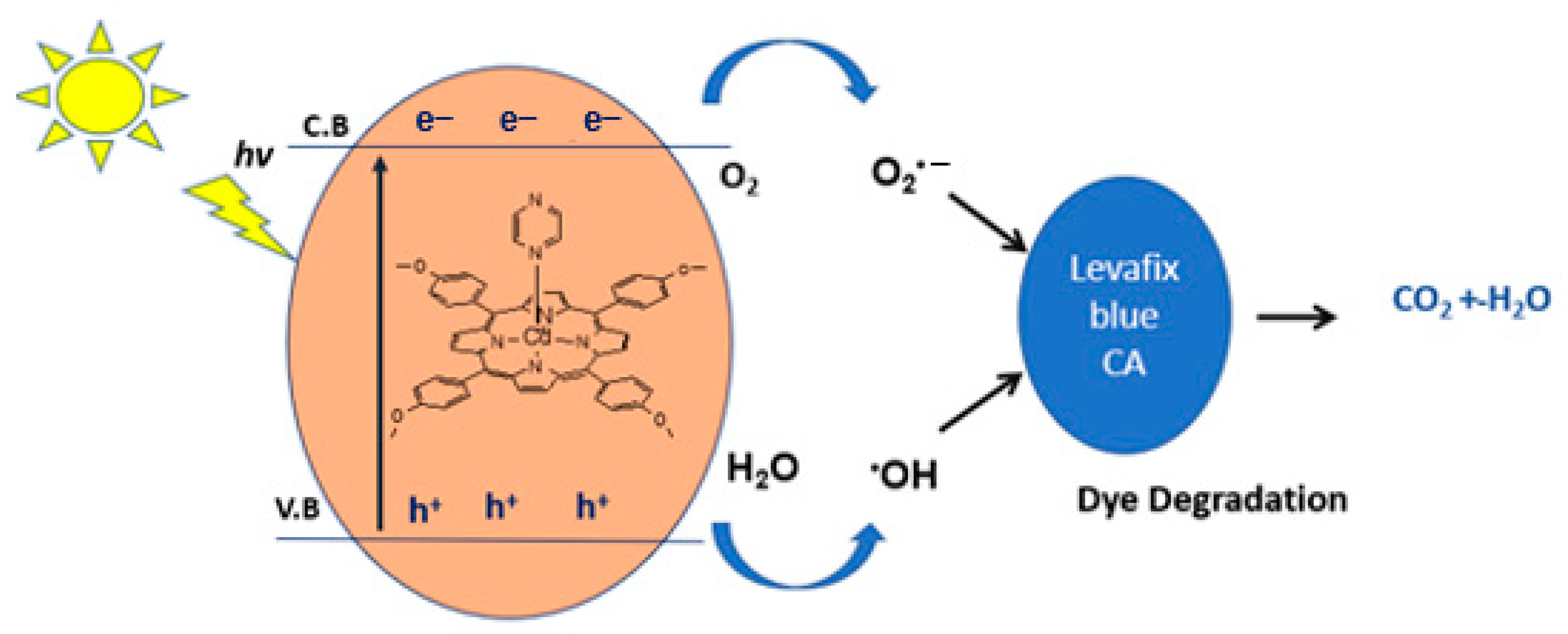 Molecules 27 03833 g013