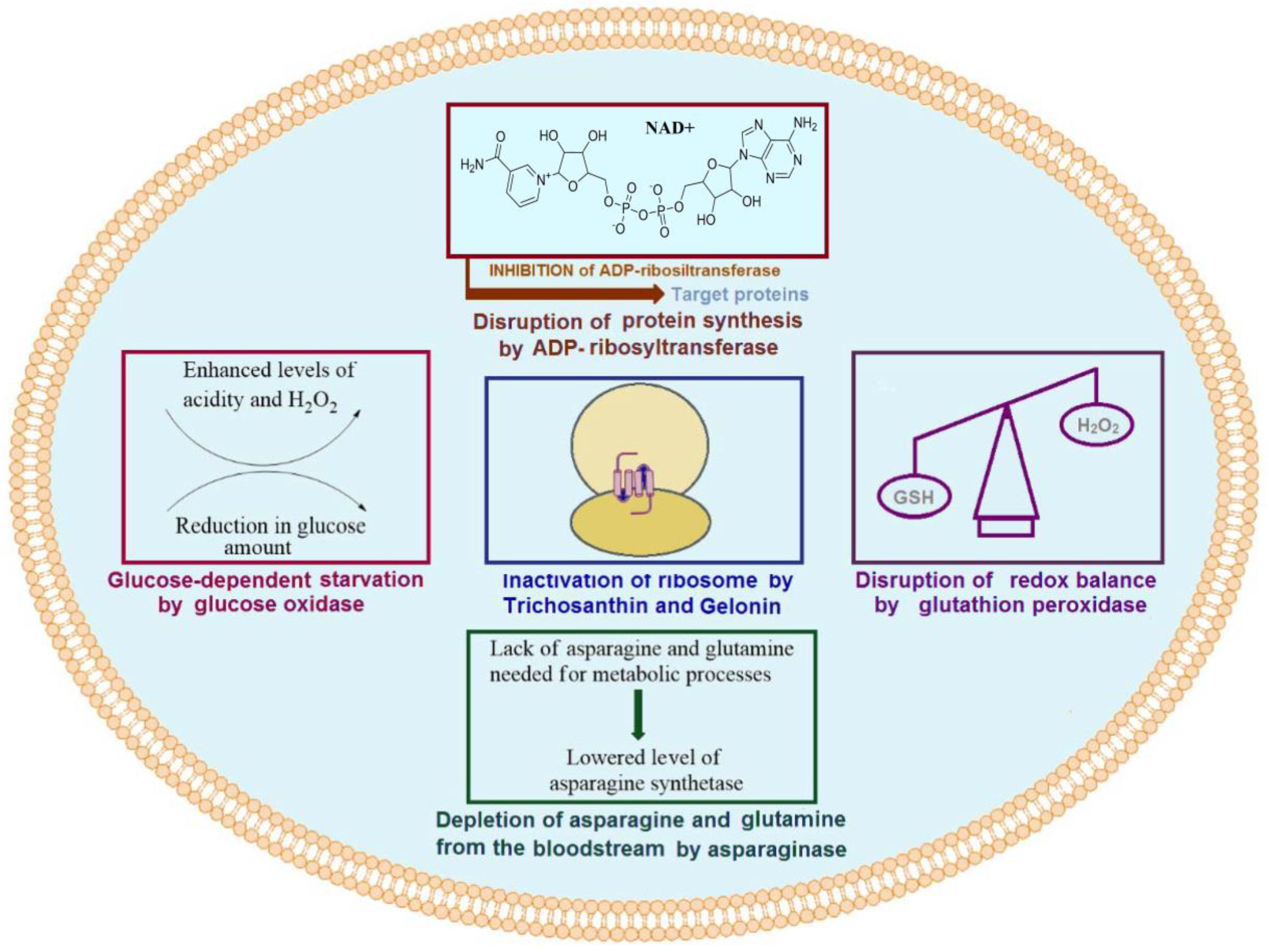 Molecules 27 03836 g001