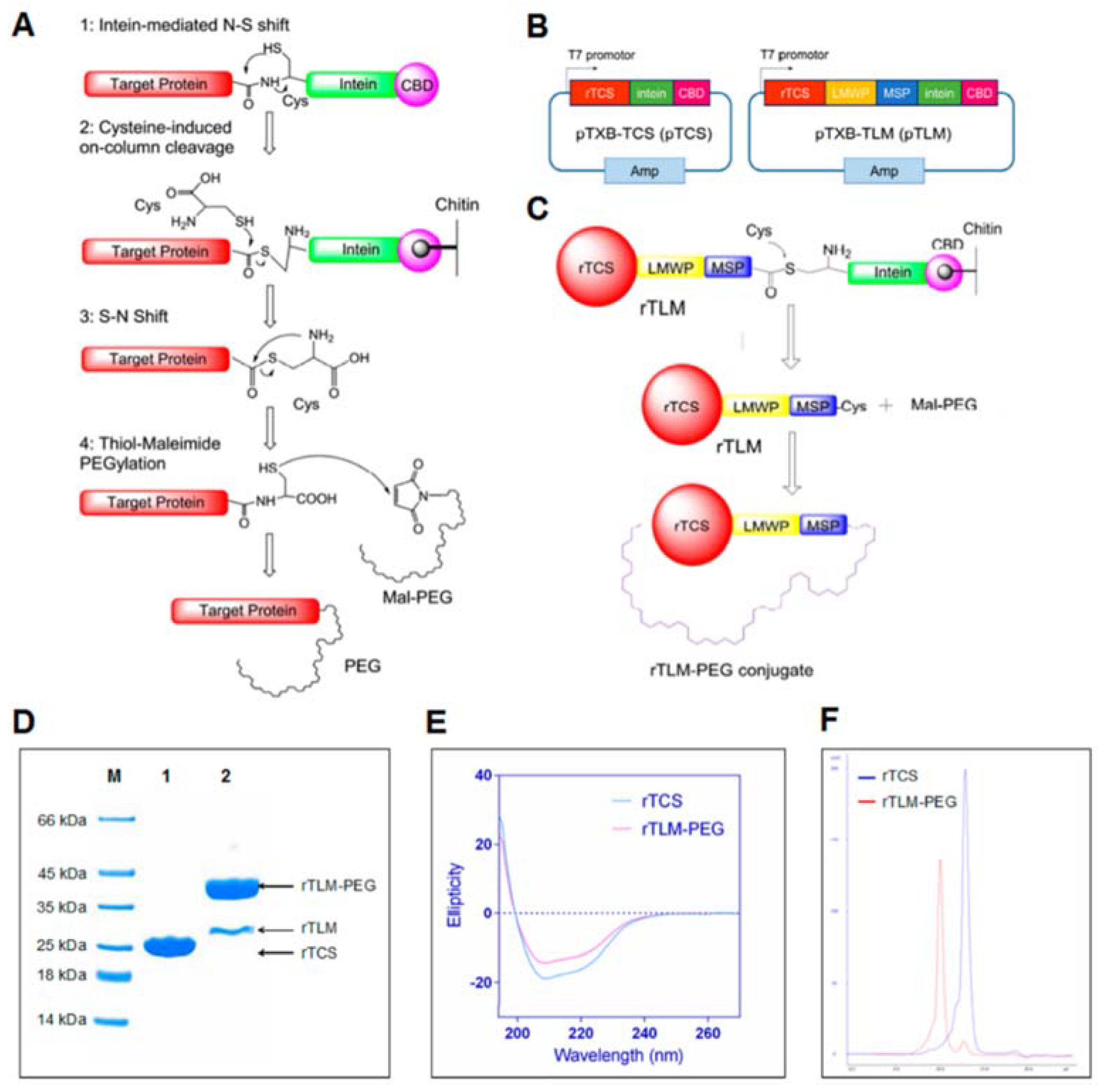 Molecules 27 03836 g002