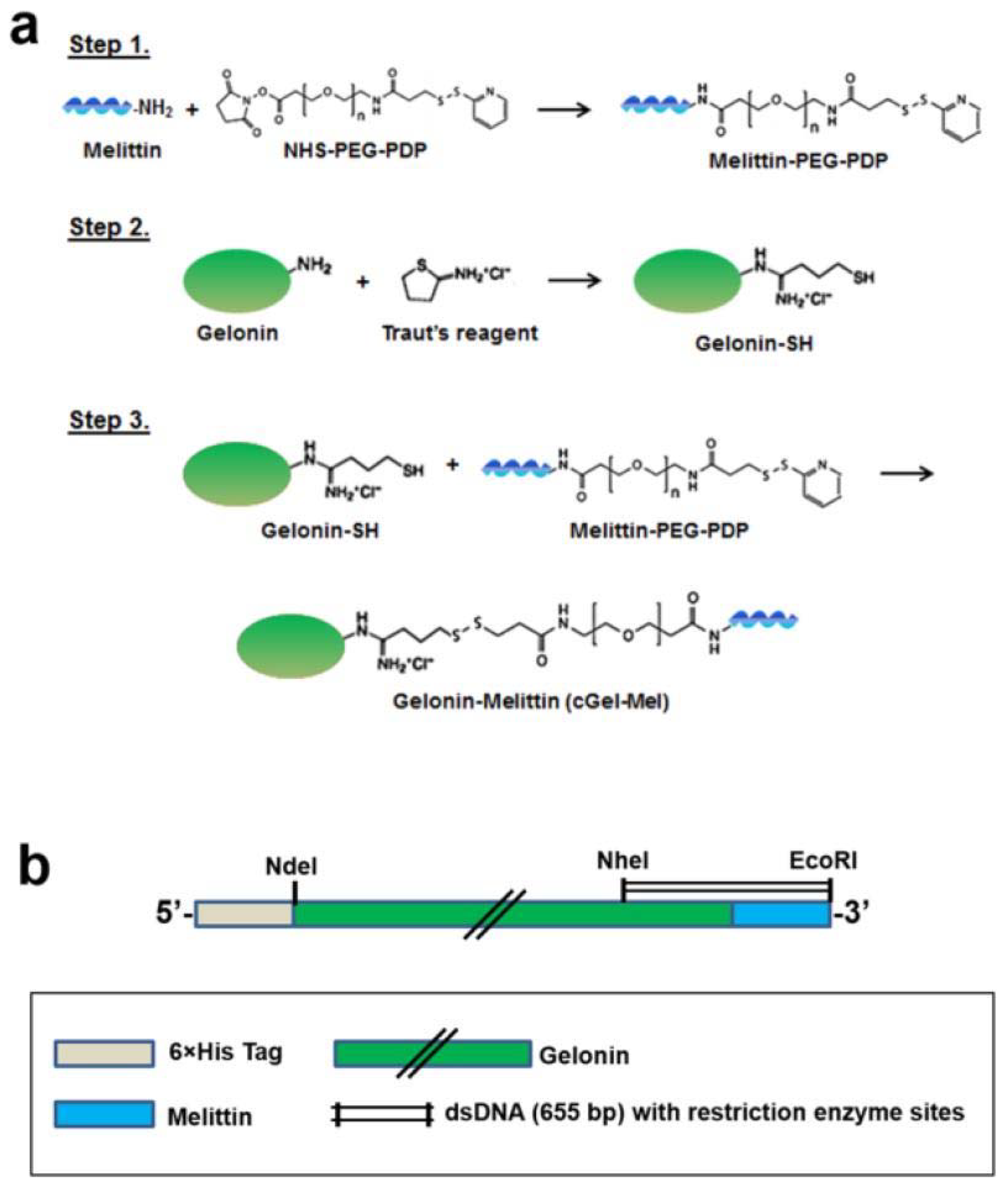 Molecules 27 03836 g003