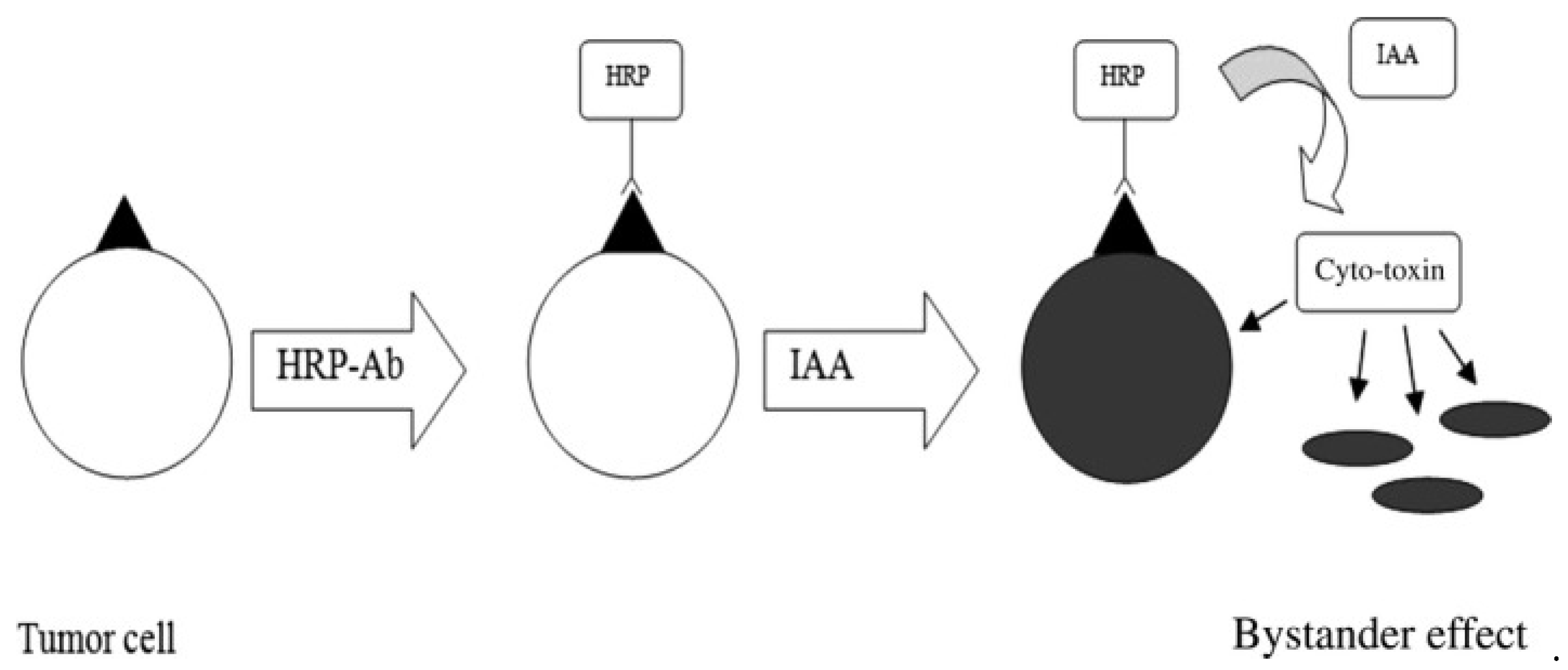 Molecules 27 03836 g004