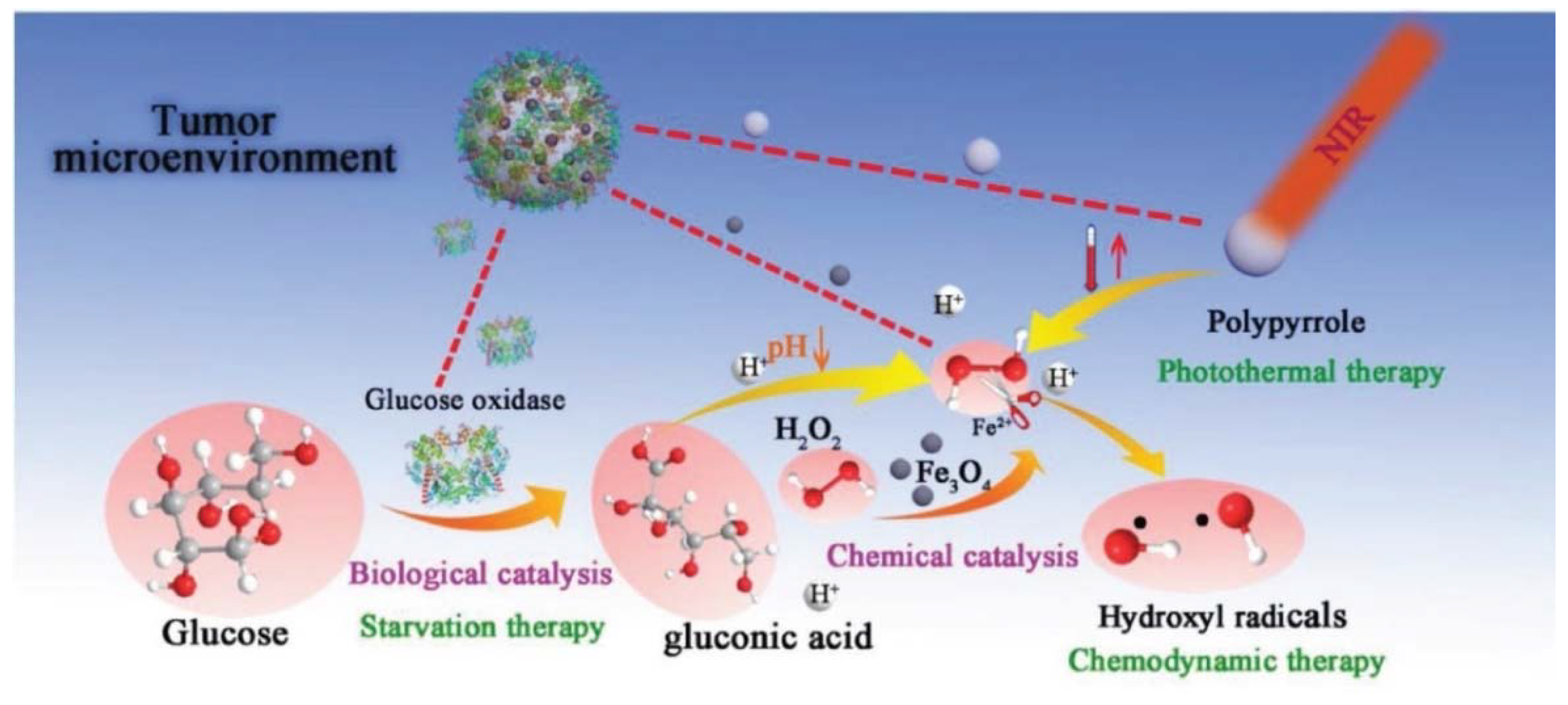 Molecules 27 03836 g005