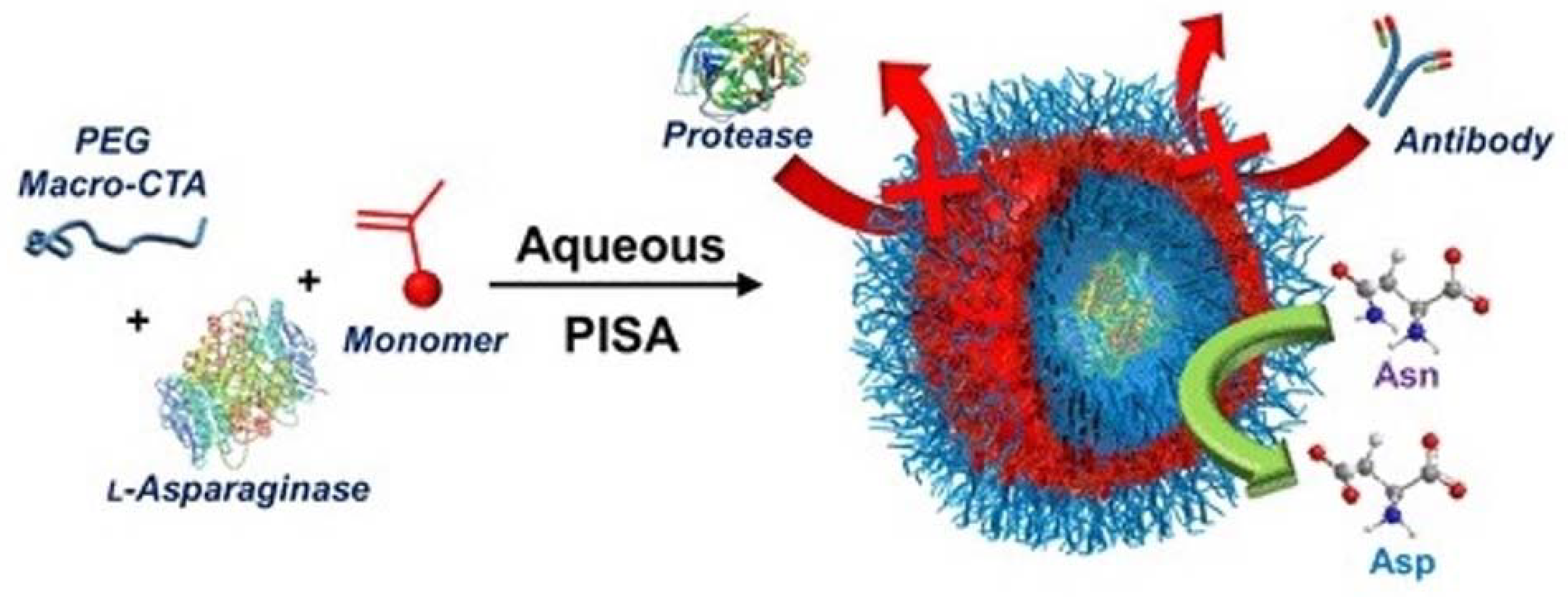 Molecules 27 03836 g006