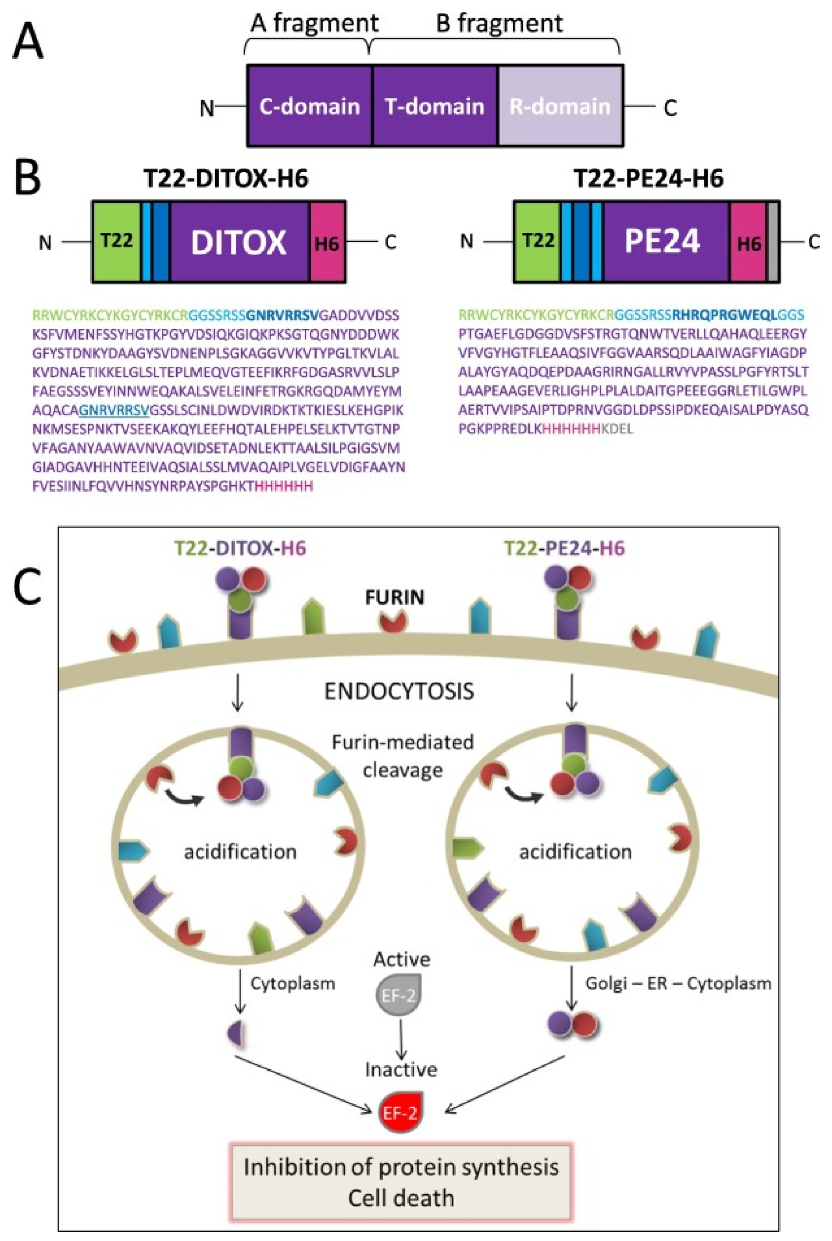 Molecules 27 03836 g008
