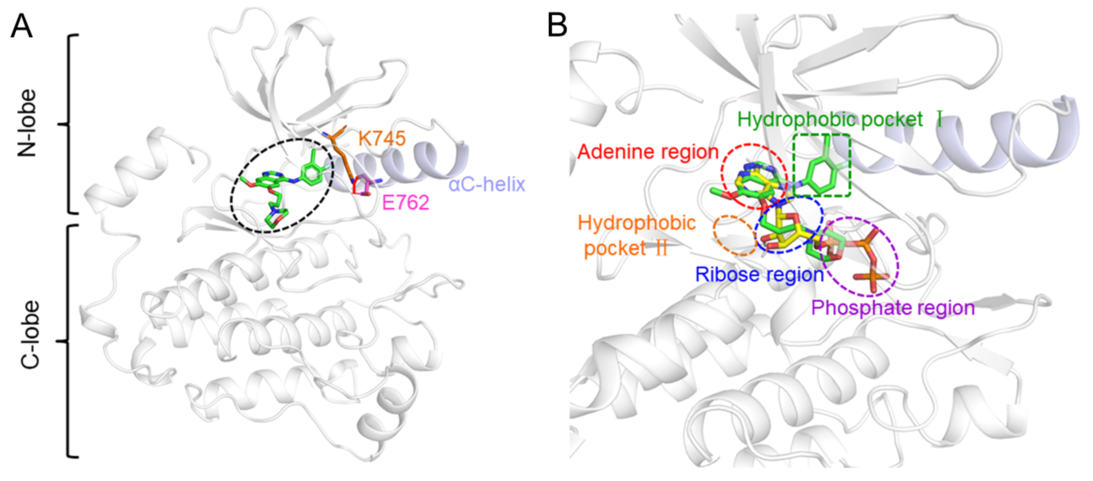 Molecules 27 03844 g001