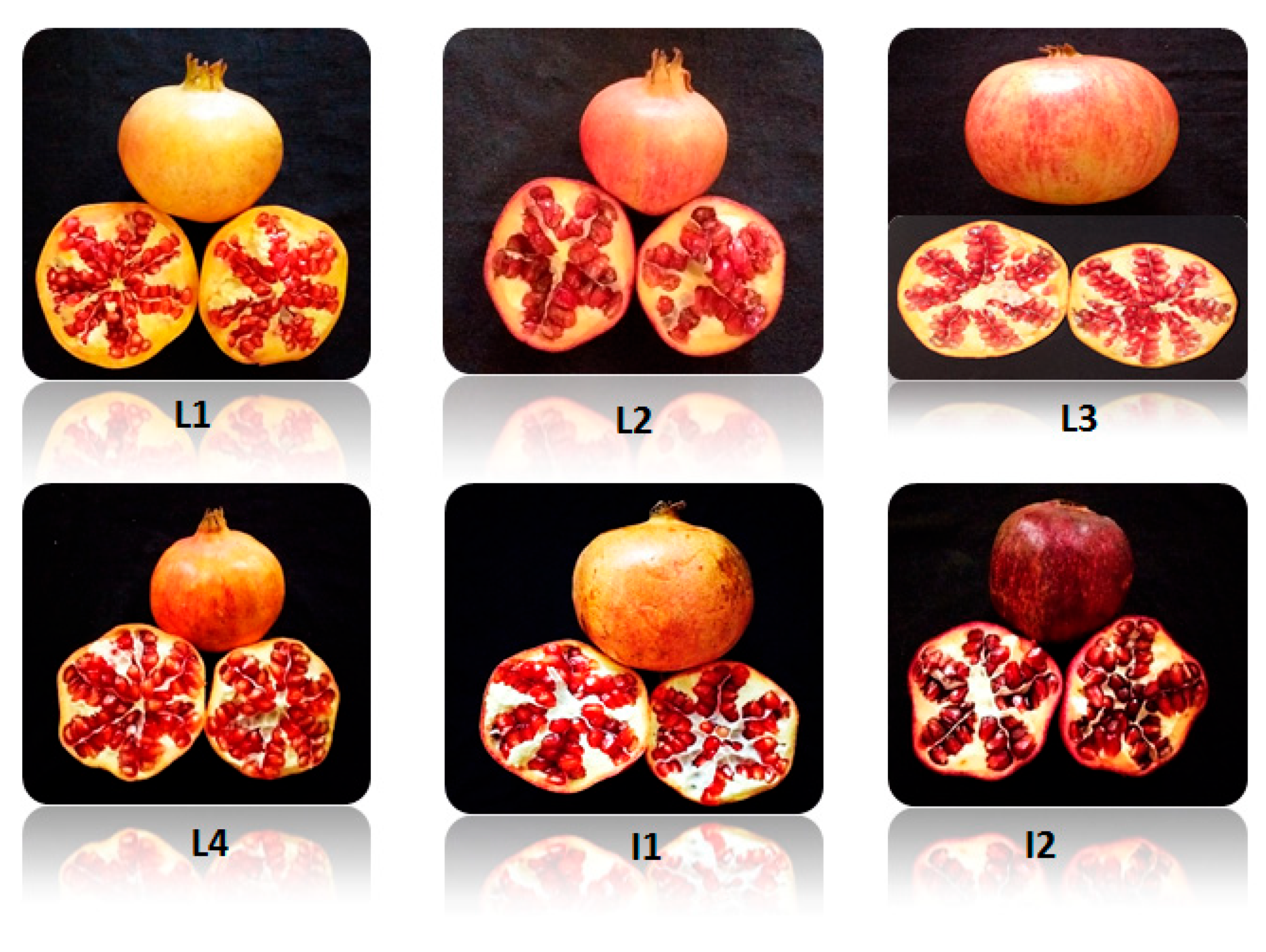Molecules 27 03847 g001