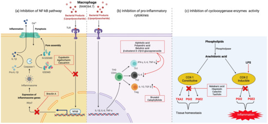 Molecules 27 03849 g004 550