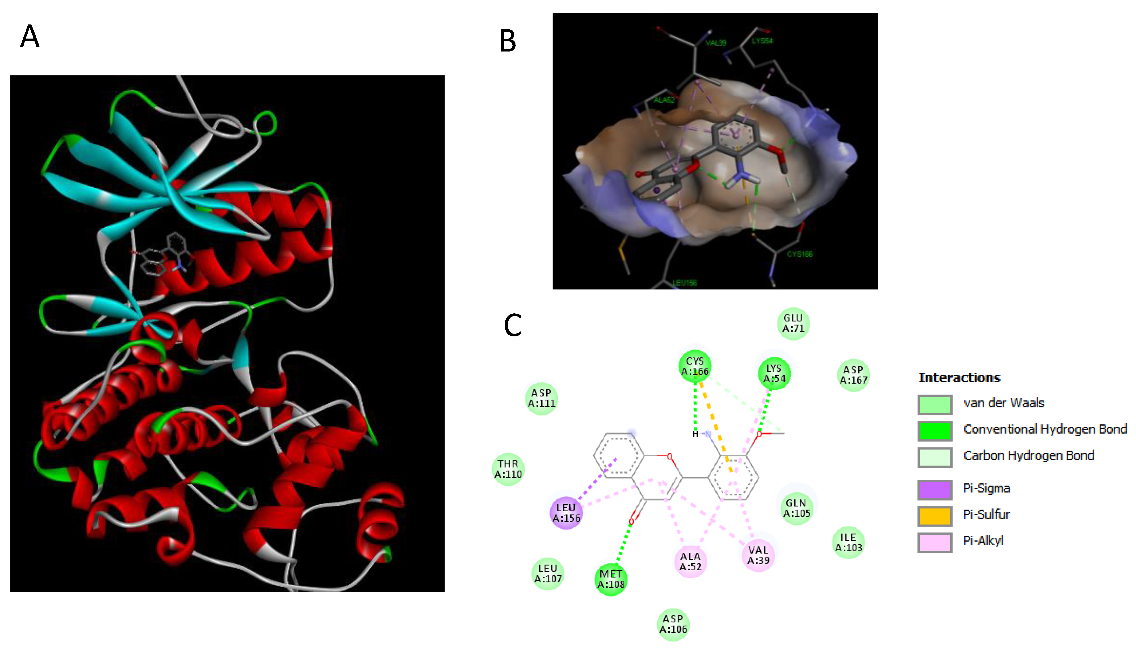 Molecules 27 03865 g012