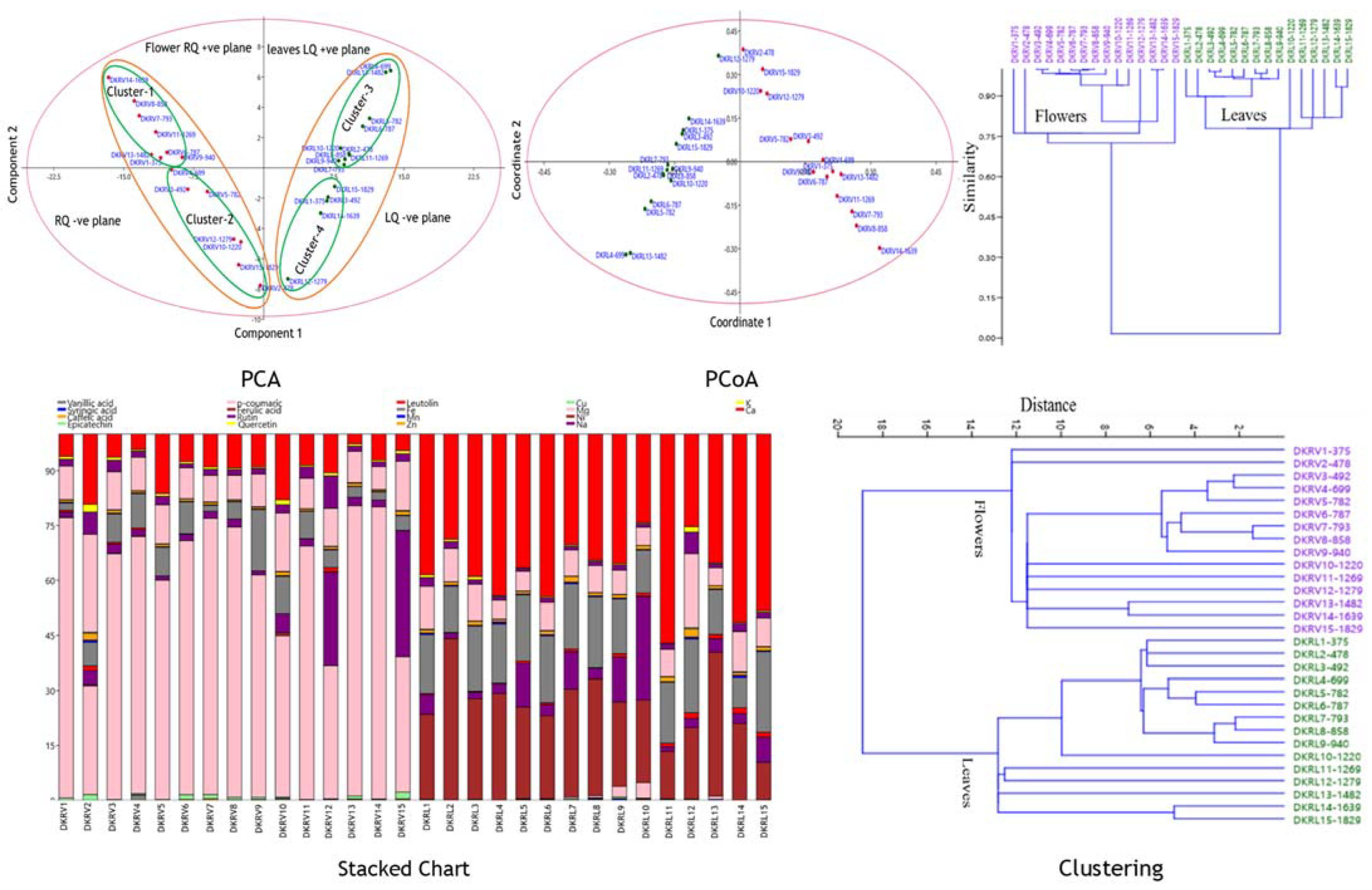 Molecules 27 03867 g006
