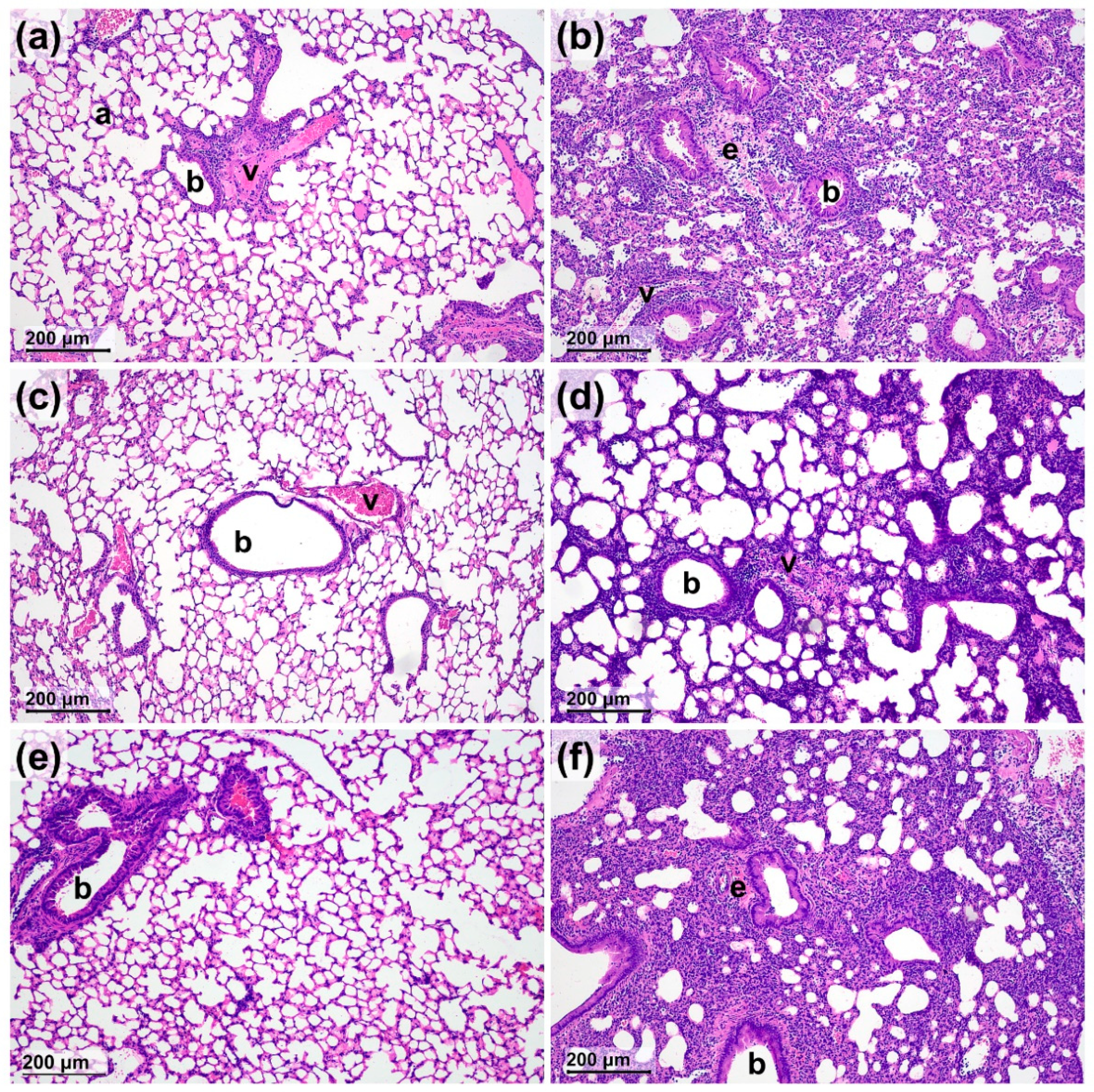 Molecules 27 03868 g002