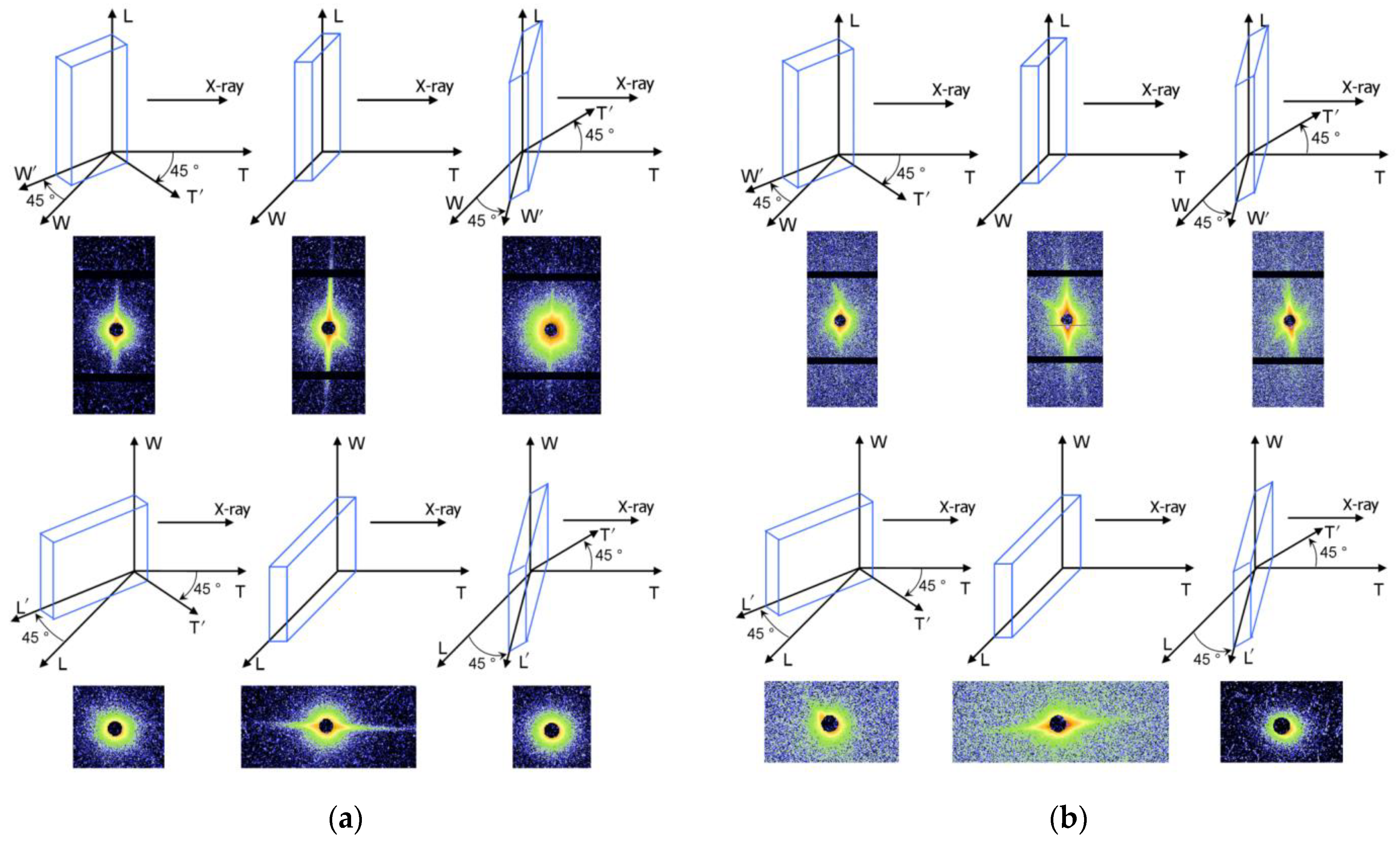 Molecules 27 03871 g002