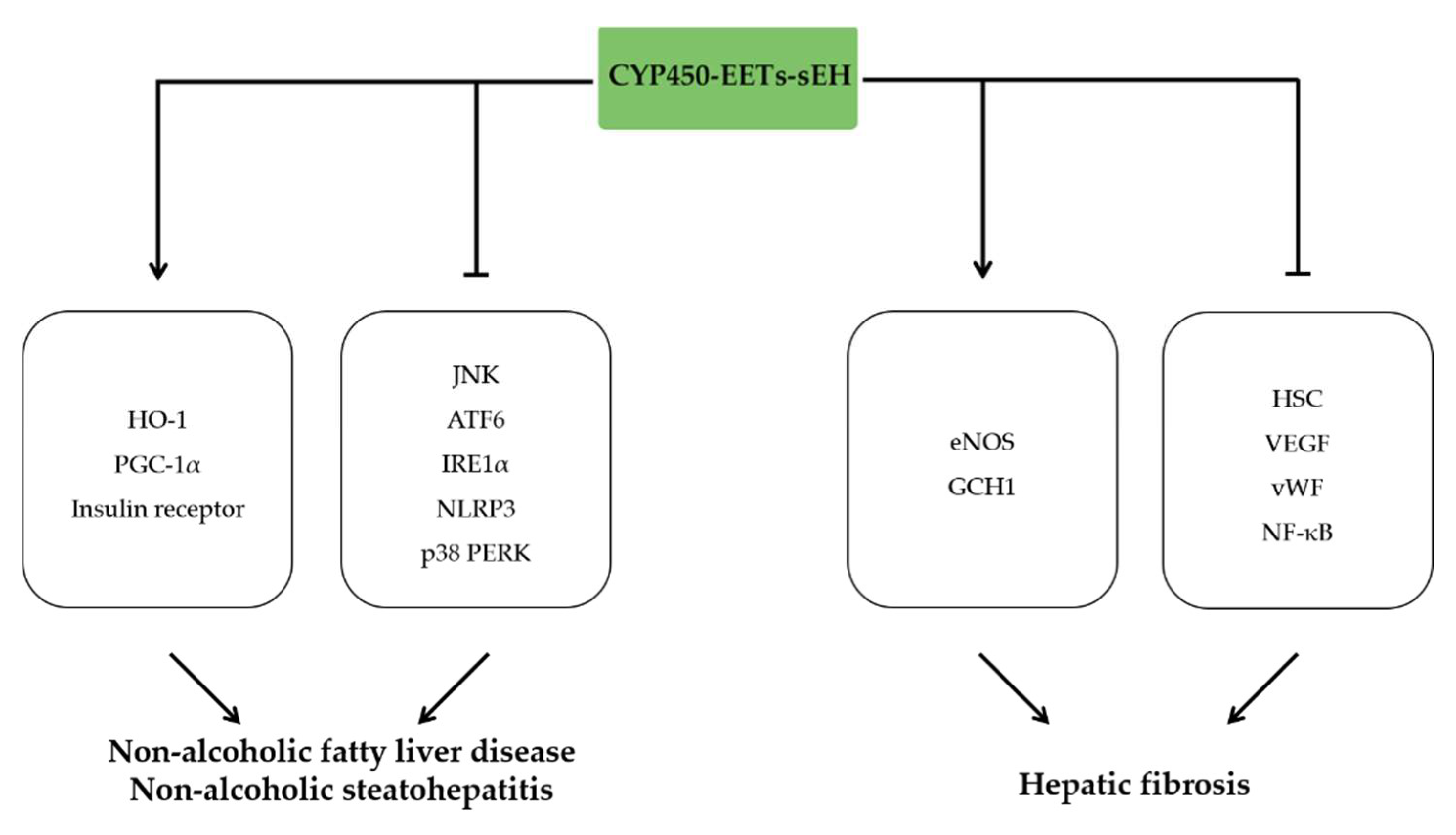 Molecules 27 03873 g008