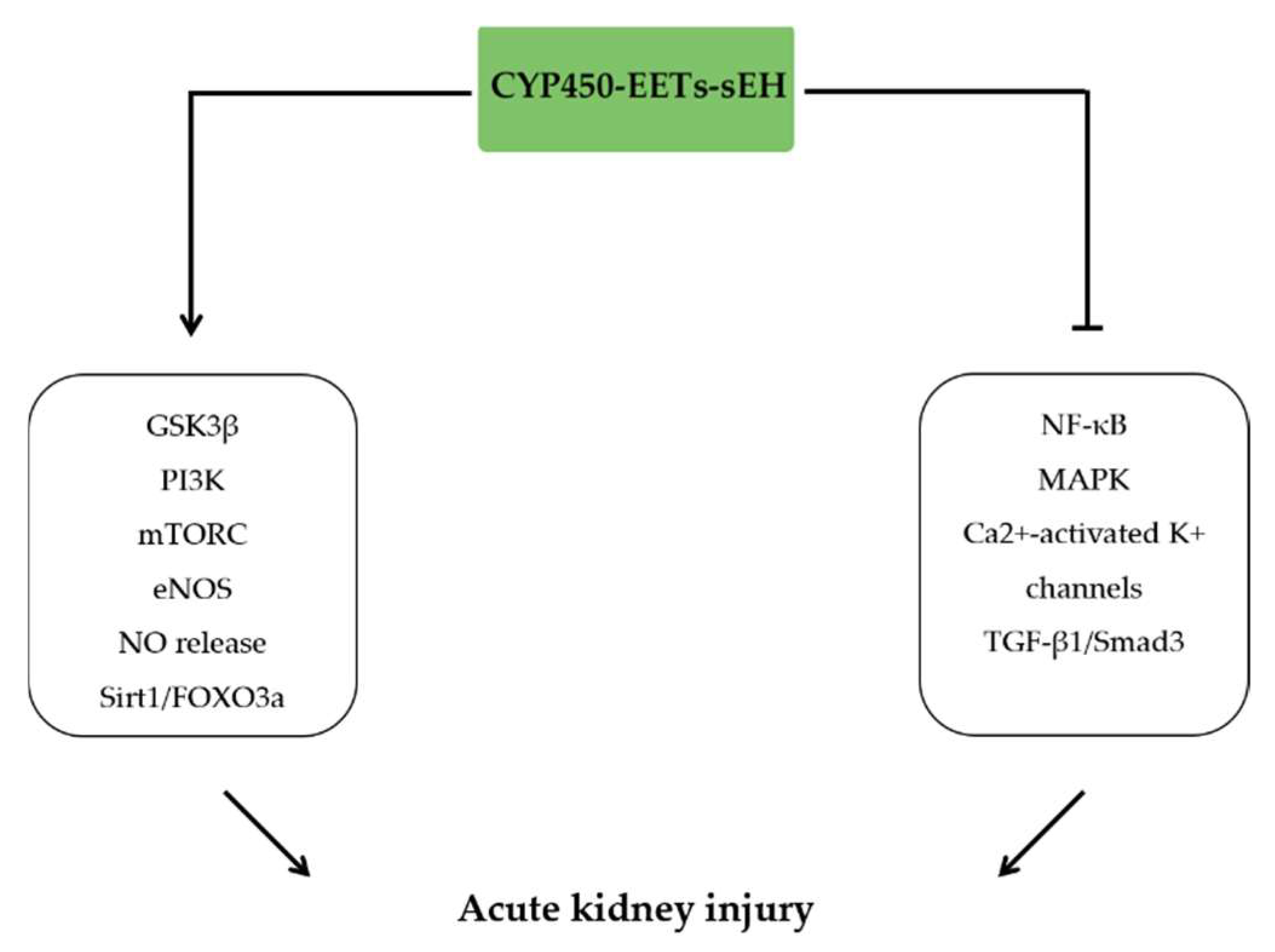 Molecules 27 03873 g009