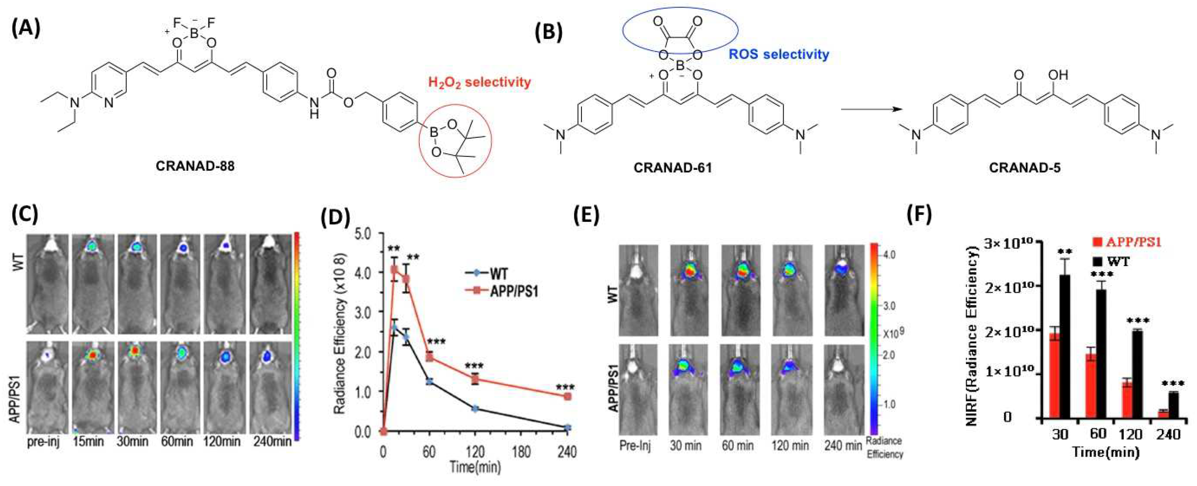Molecules 27 03879 g008 Molecules 27 03879 g008