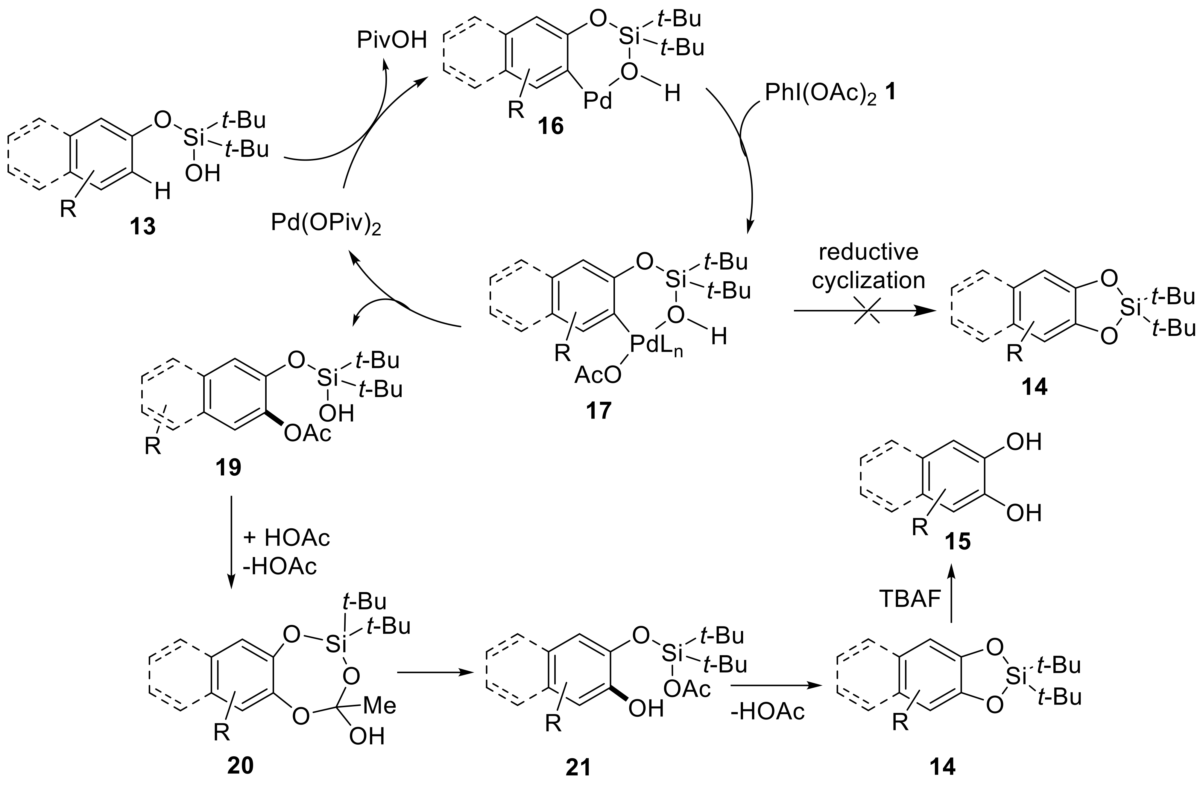 Molecules 27 03900 sch004