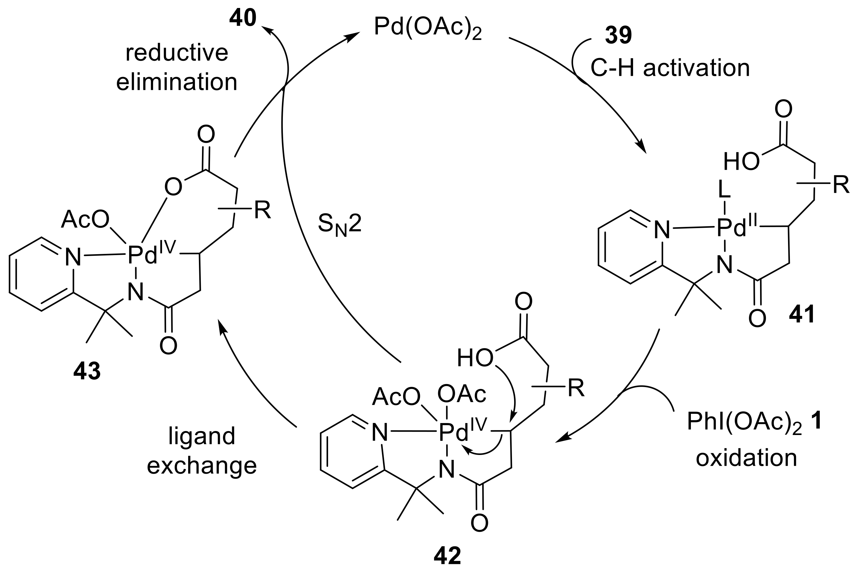 Molecules 27 03900 sch011