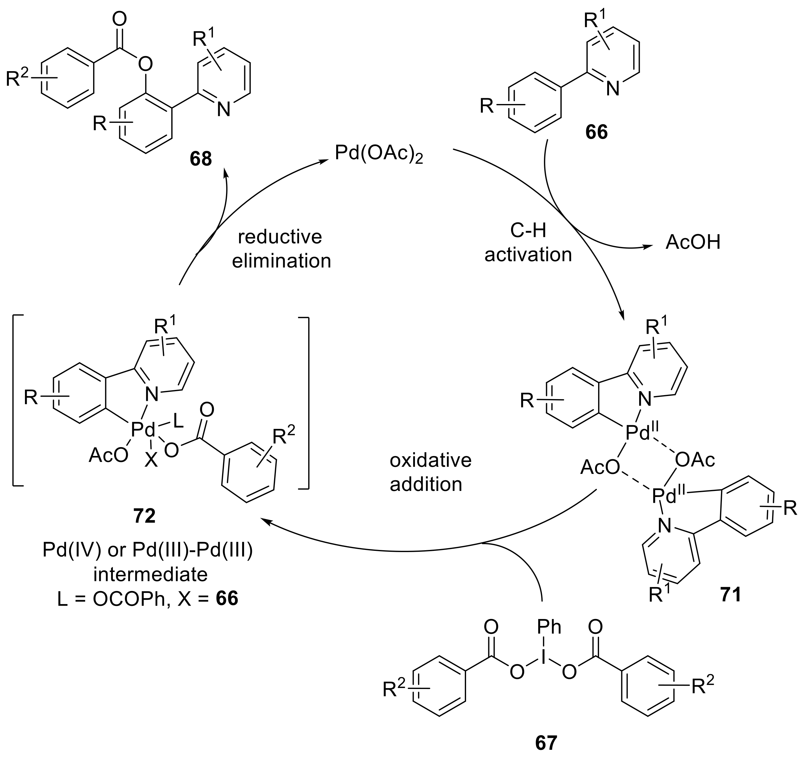 Molecules 27 03900 sch021