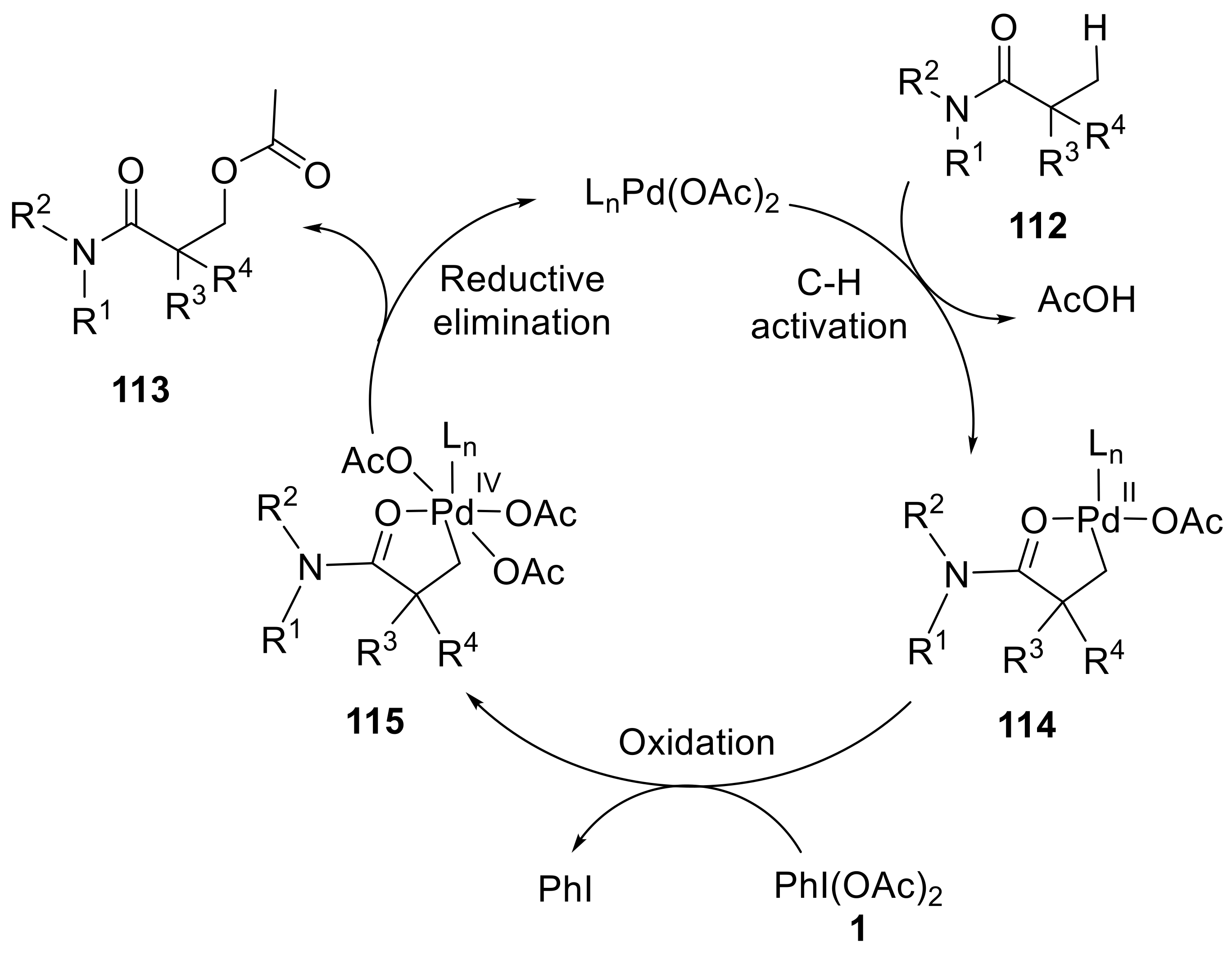 Molecules 27 03900 sch036