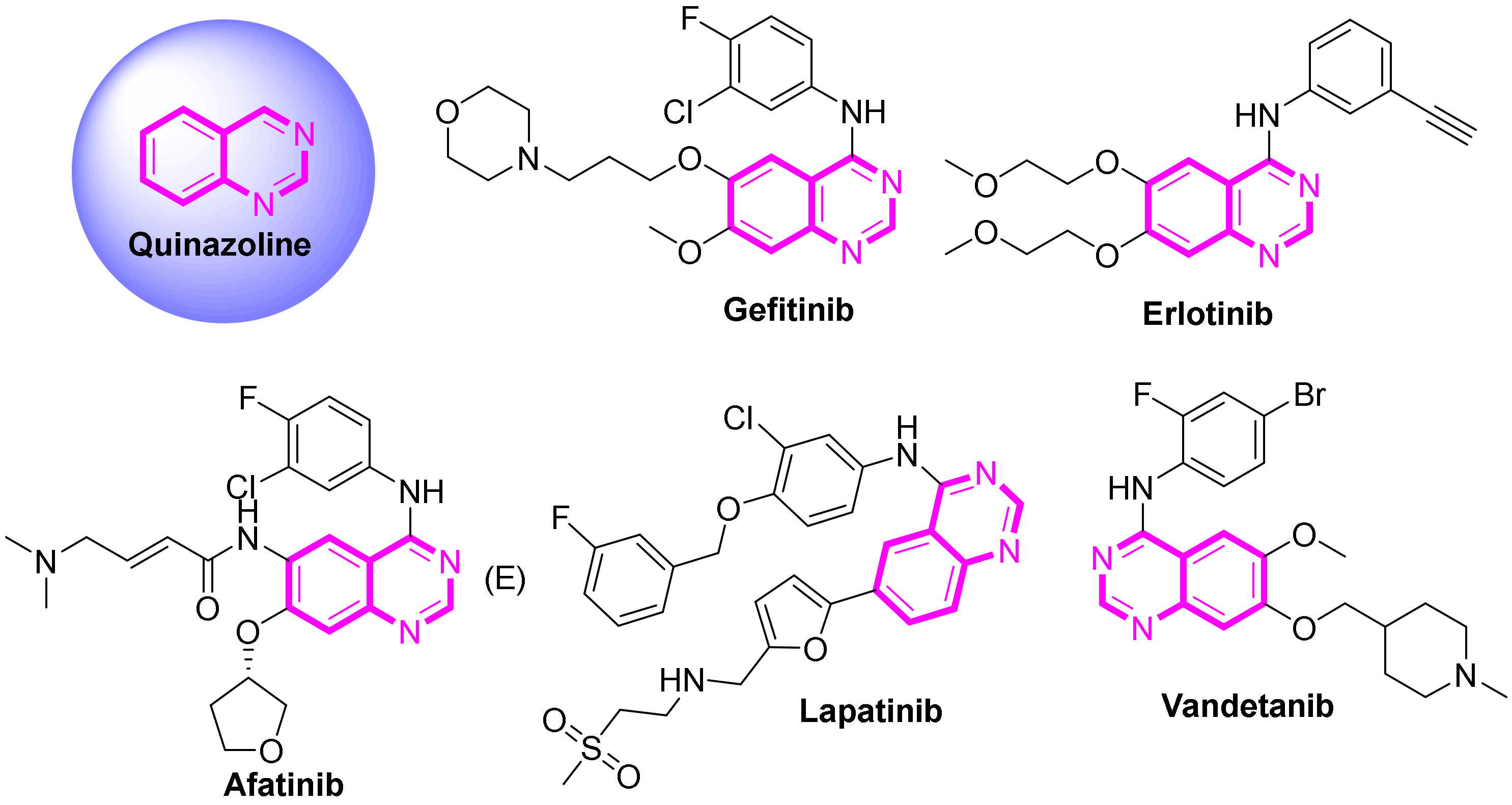 Molecules 27 03906 g001