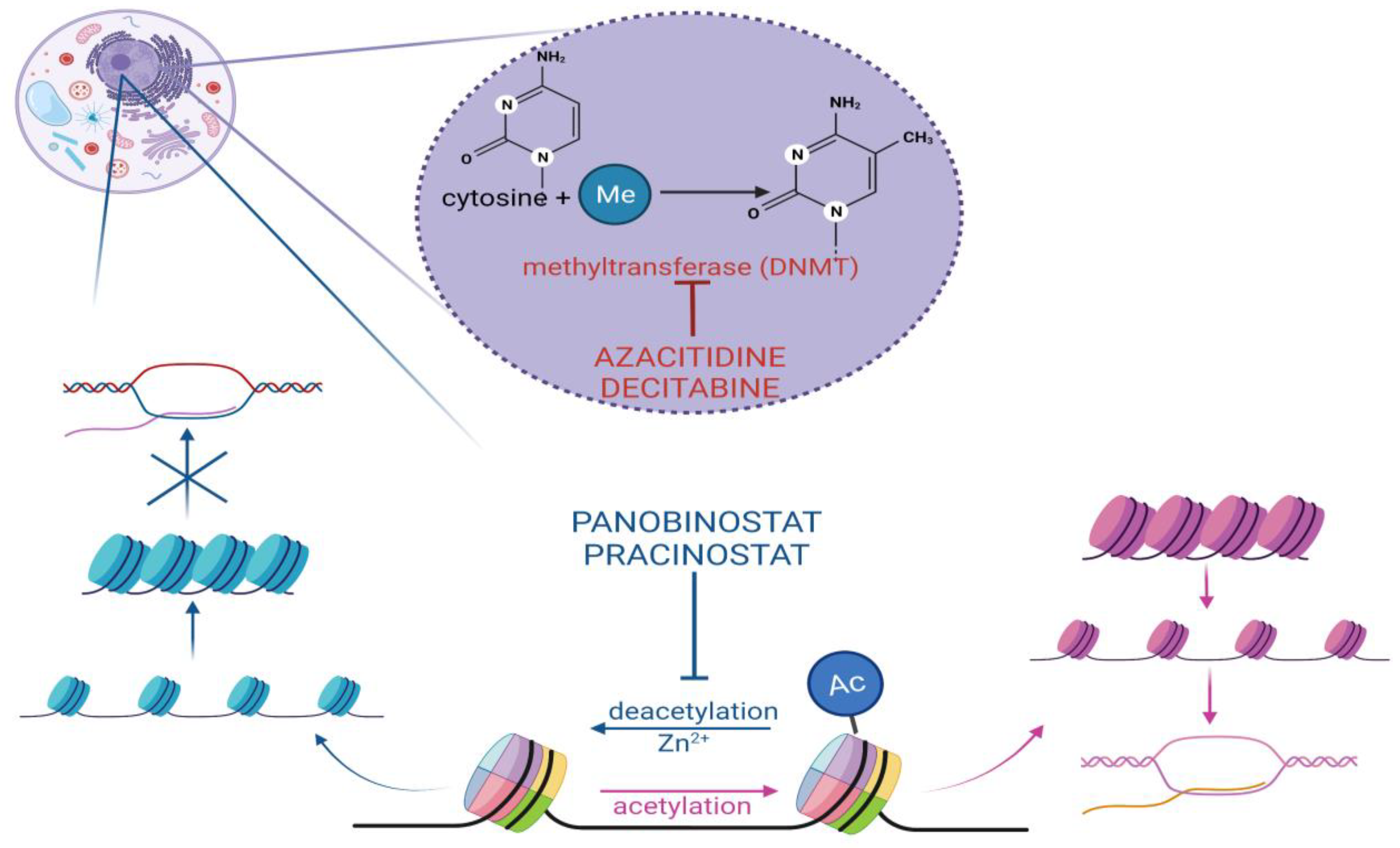 Molecules 27 03911 g002