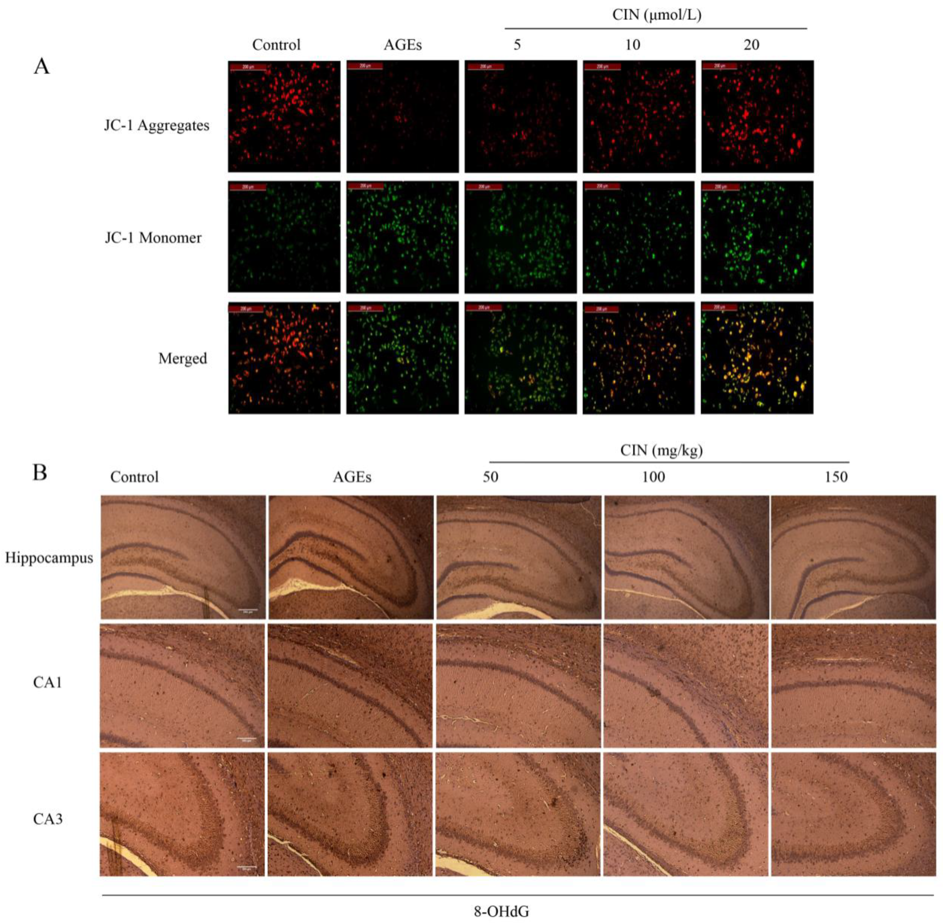 Molecules 27 03913 g002