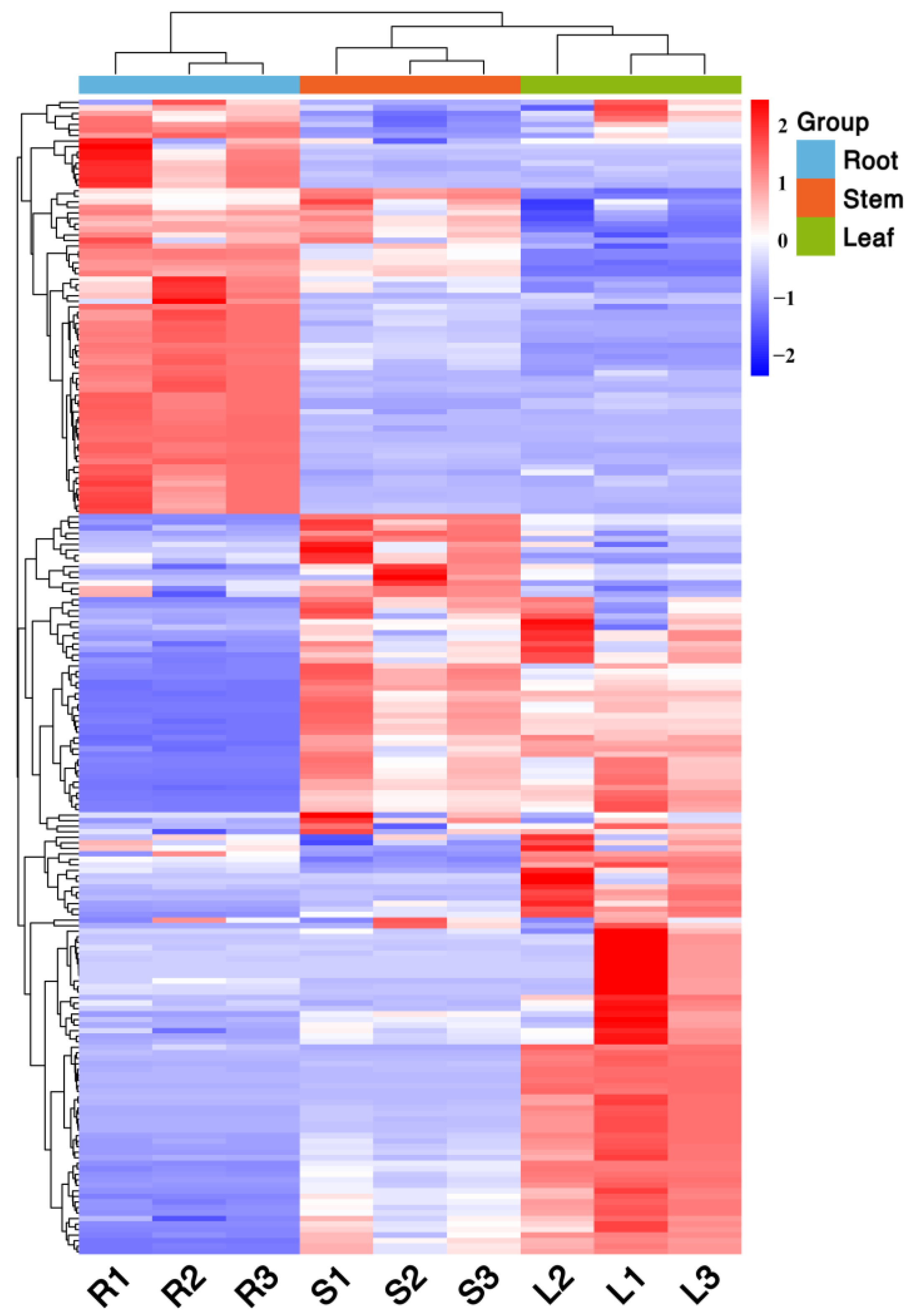 Molecules 27 03921 g005
