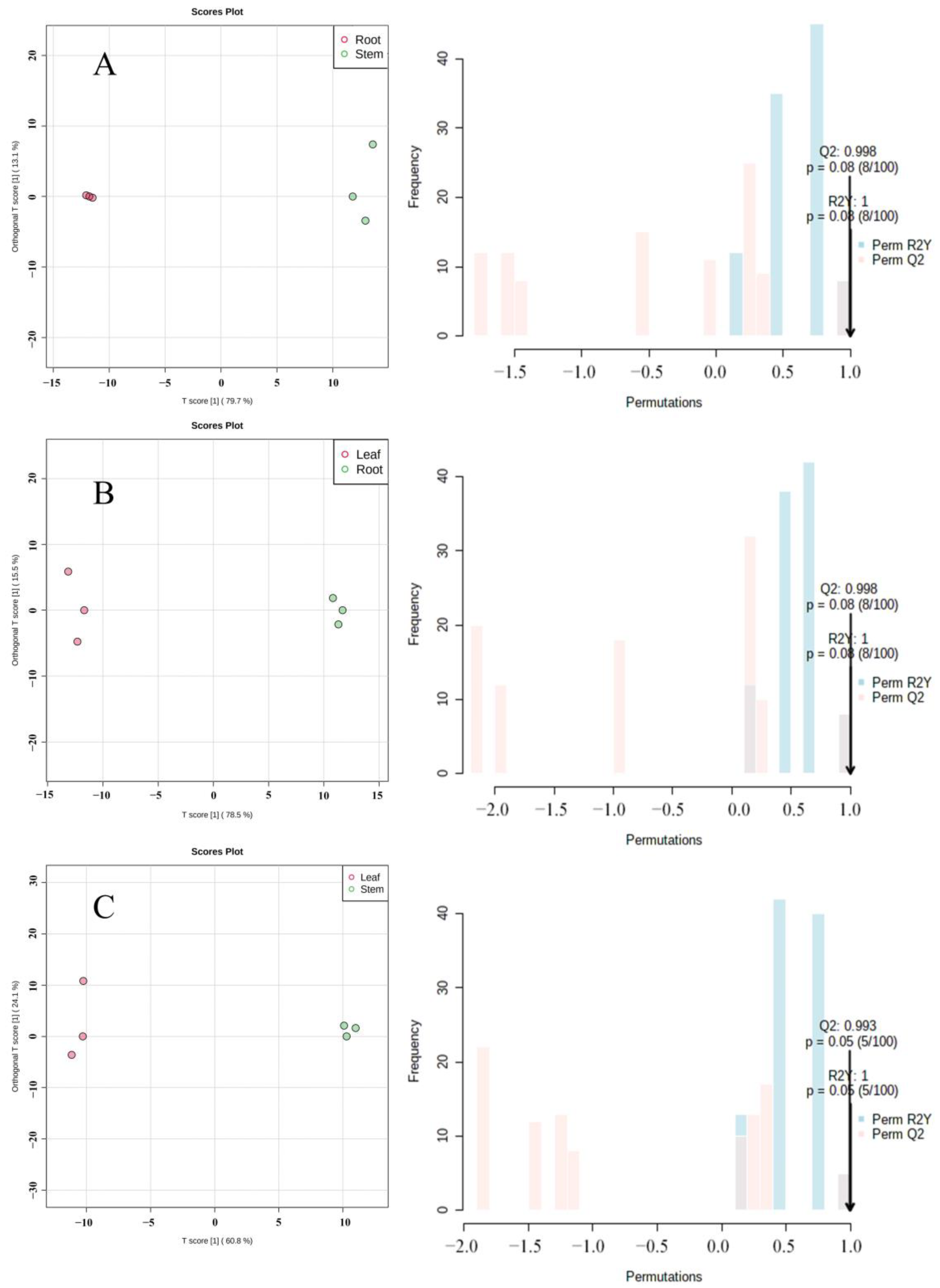 Molecules 27 03921 g006