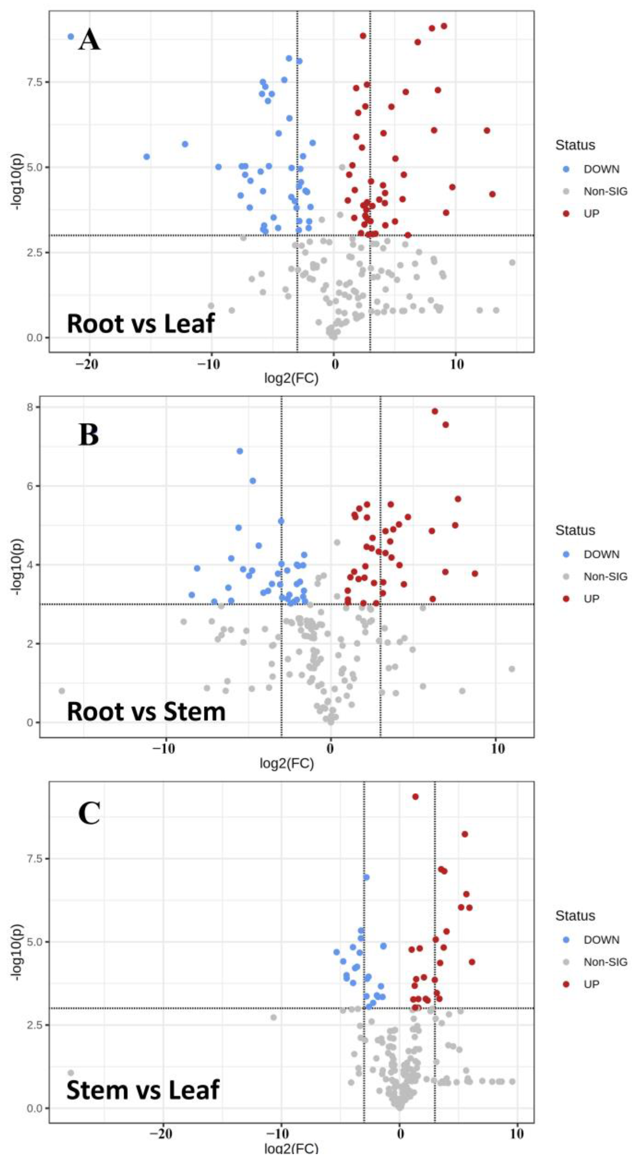 Molecules 27 03921 g007