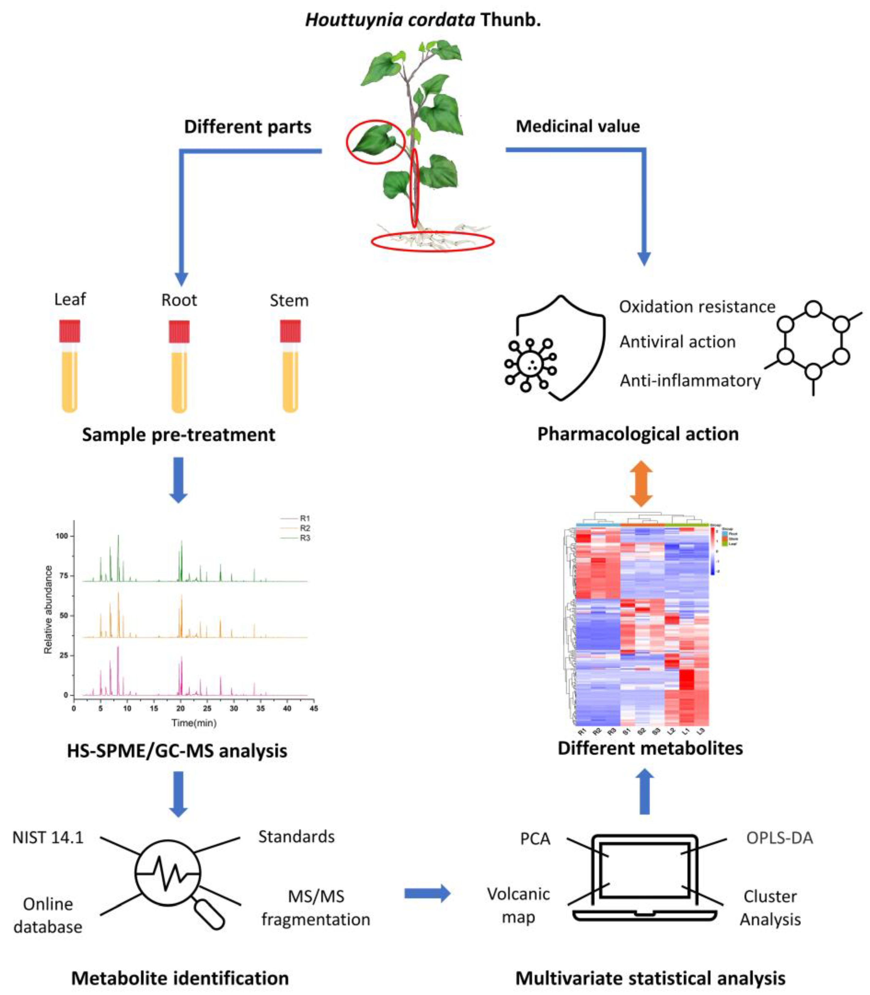 Molecules 27 03921 g010