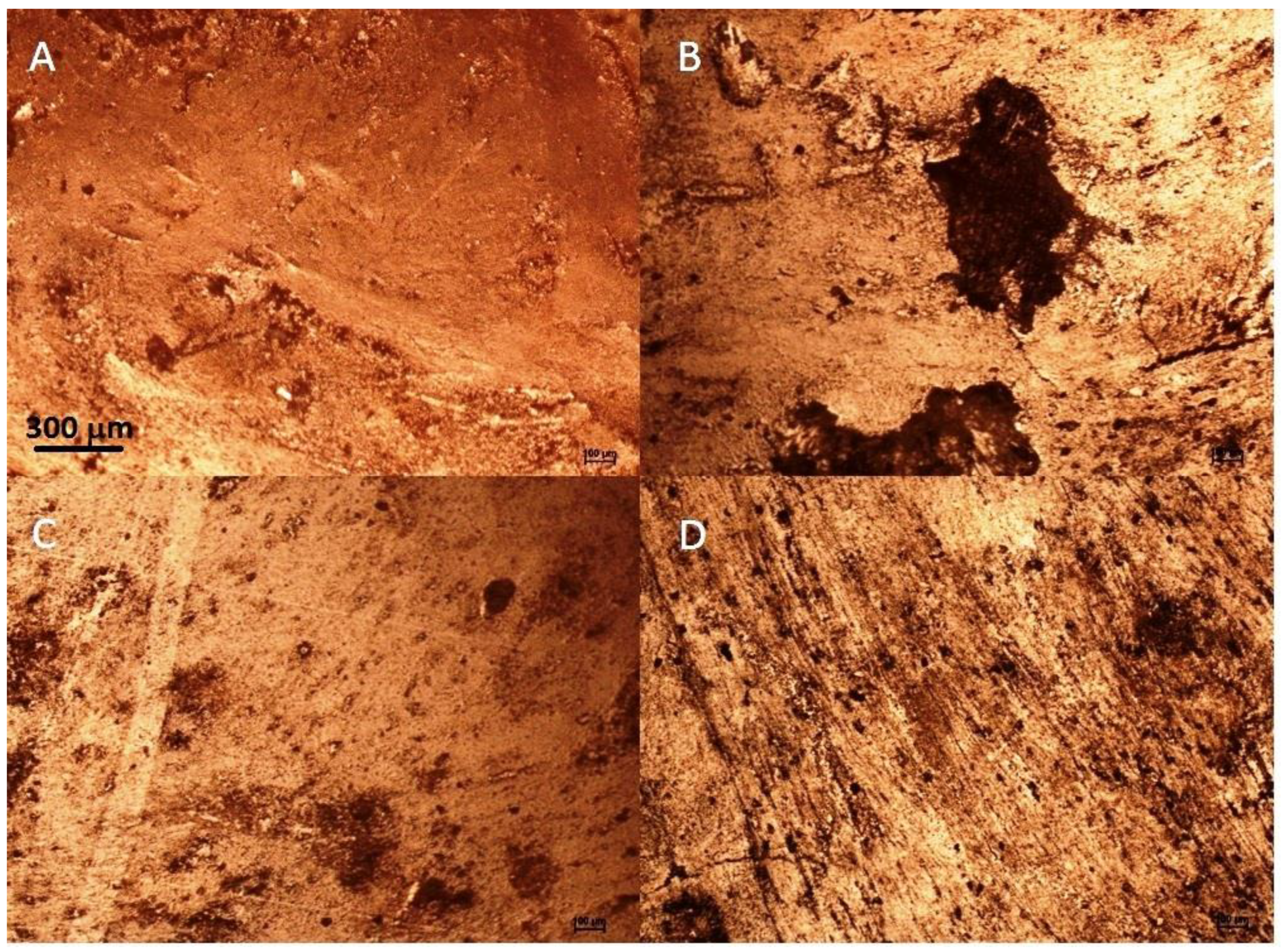 Molecules 27 03926 g005