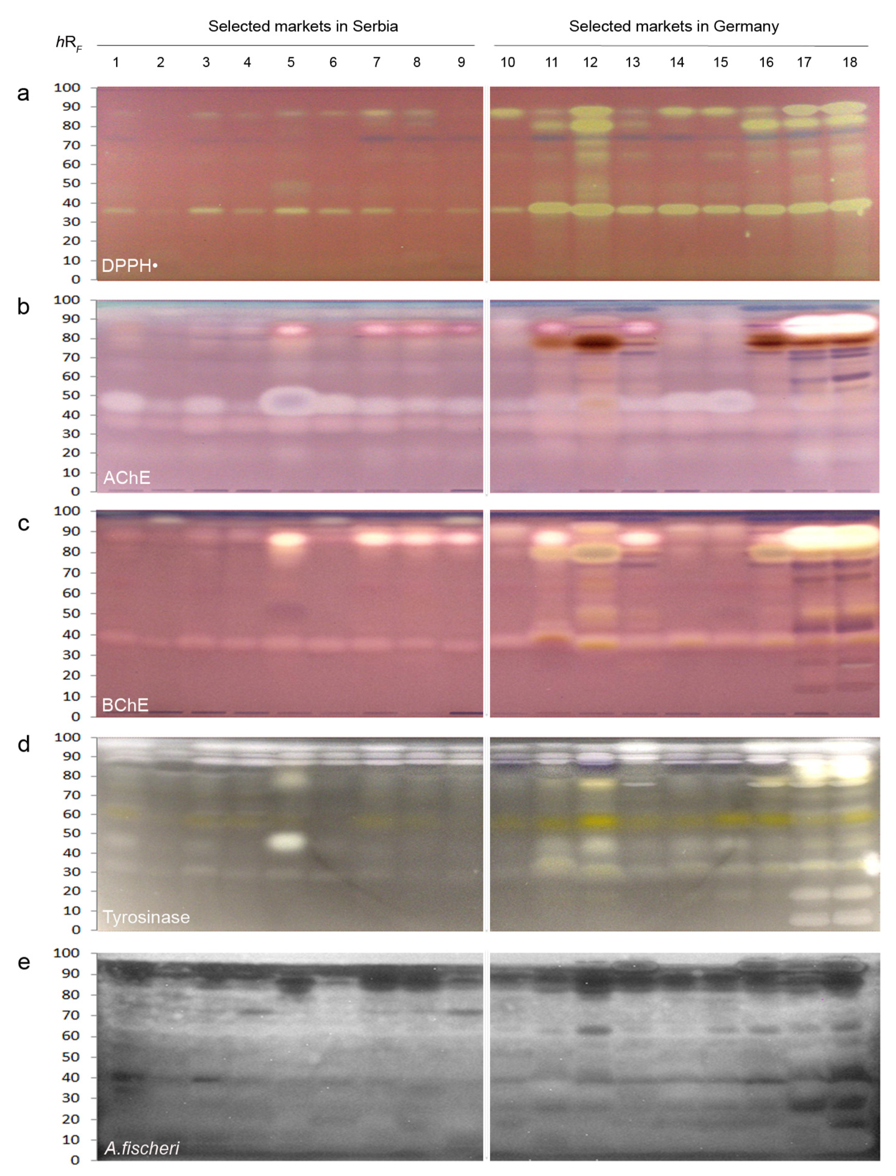 Molecules 27 03933 g002