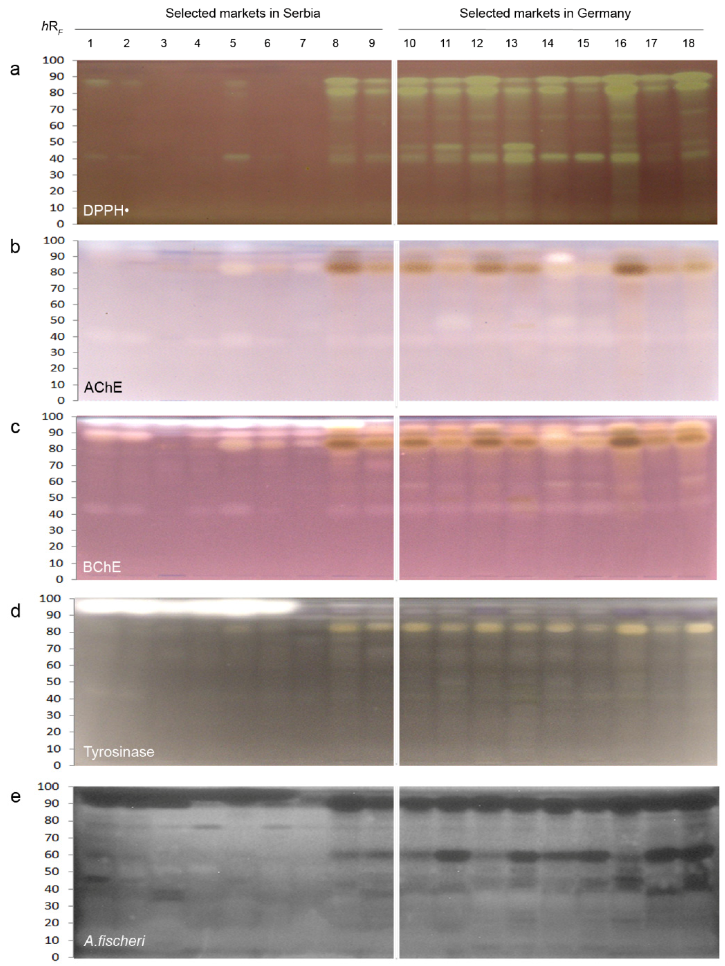 Molecules 27 03933 g003