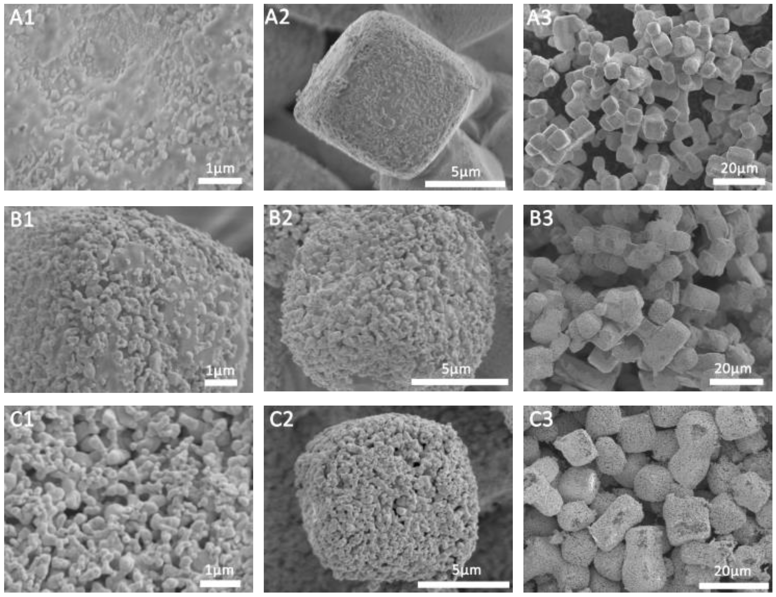 Molecules 27 03939 g002