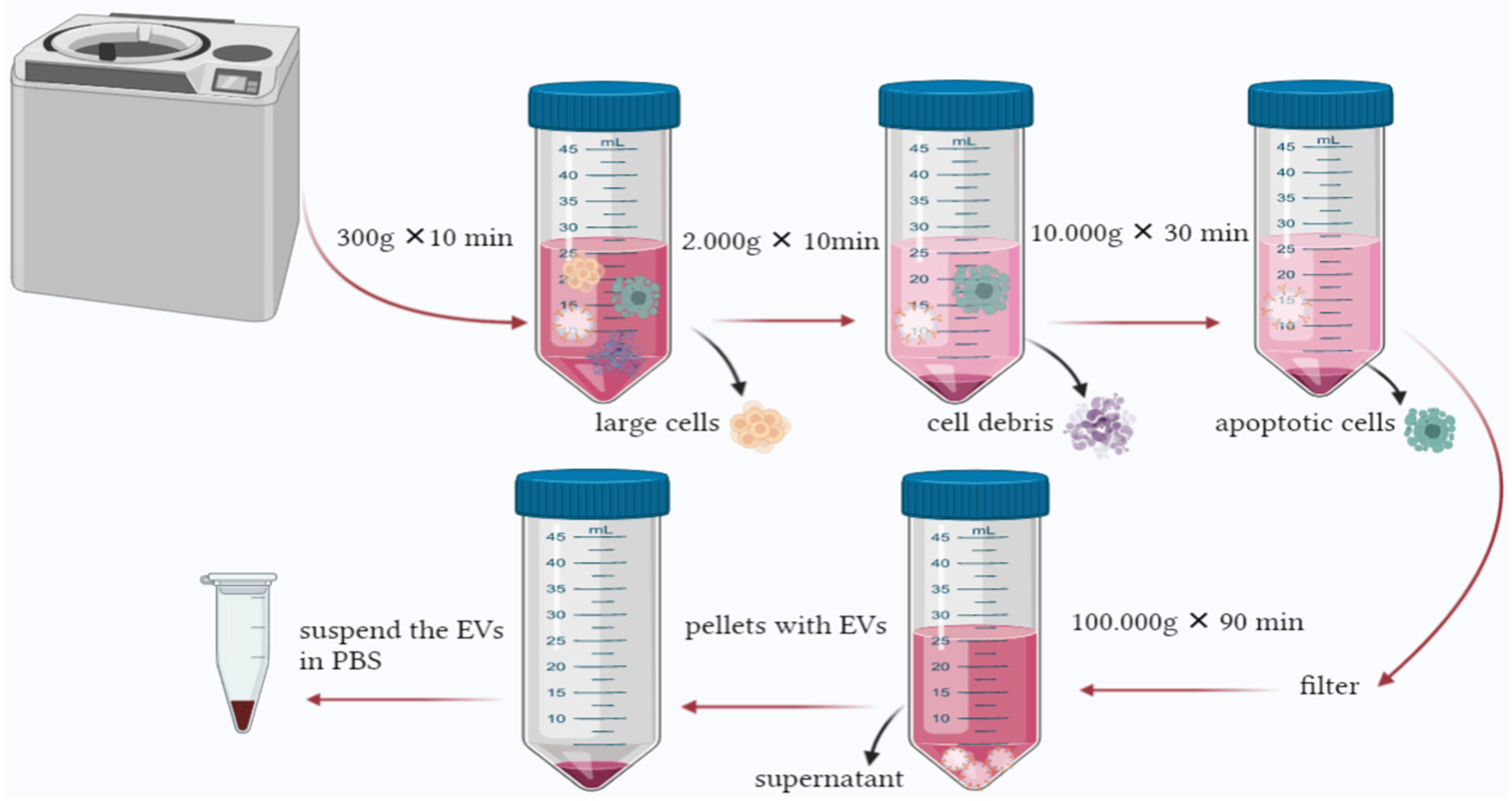 Molecules 27 03941 g003