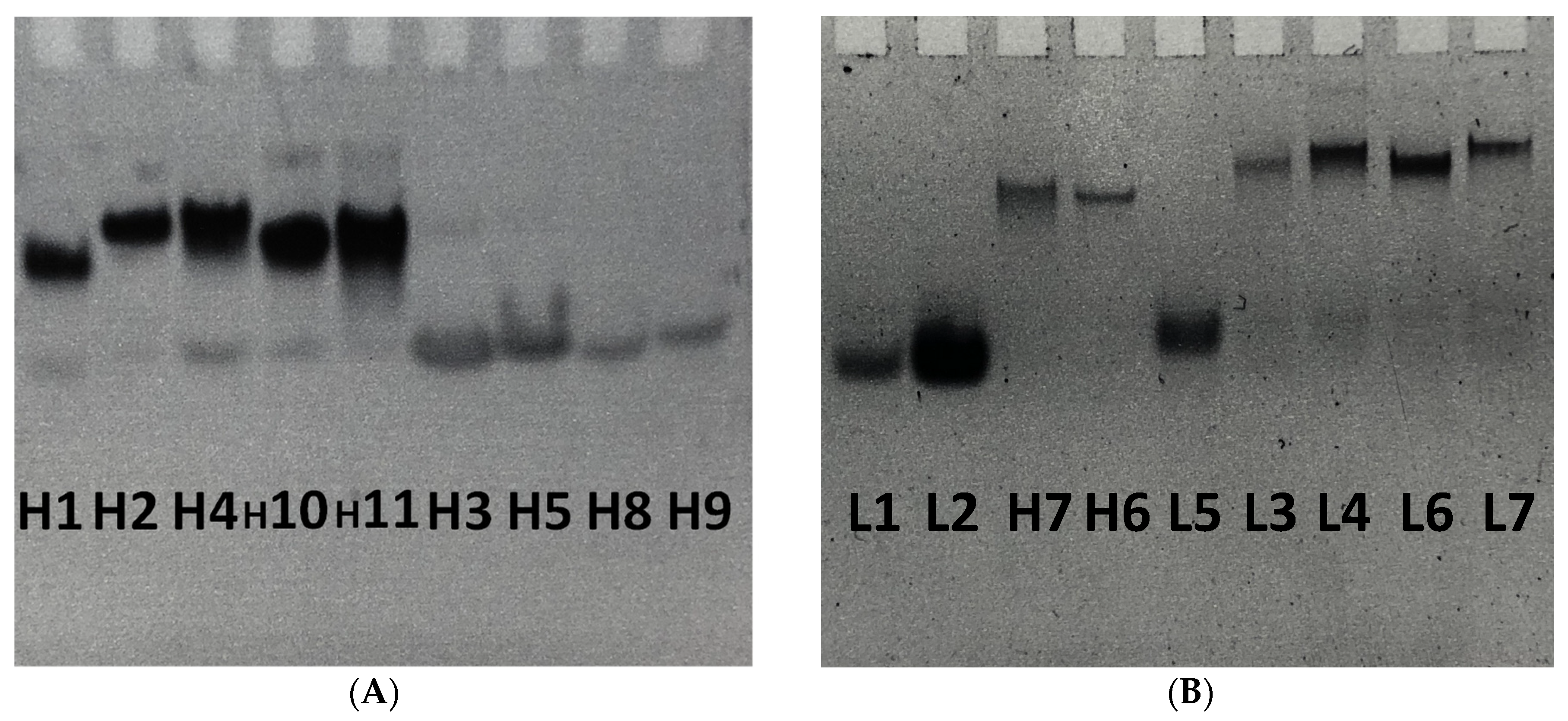 Molecules 27 03944 g003 Molecules 27 03944 g003