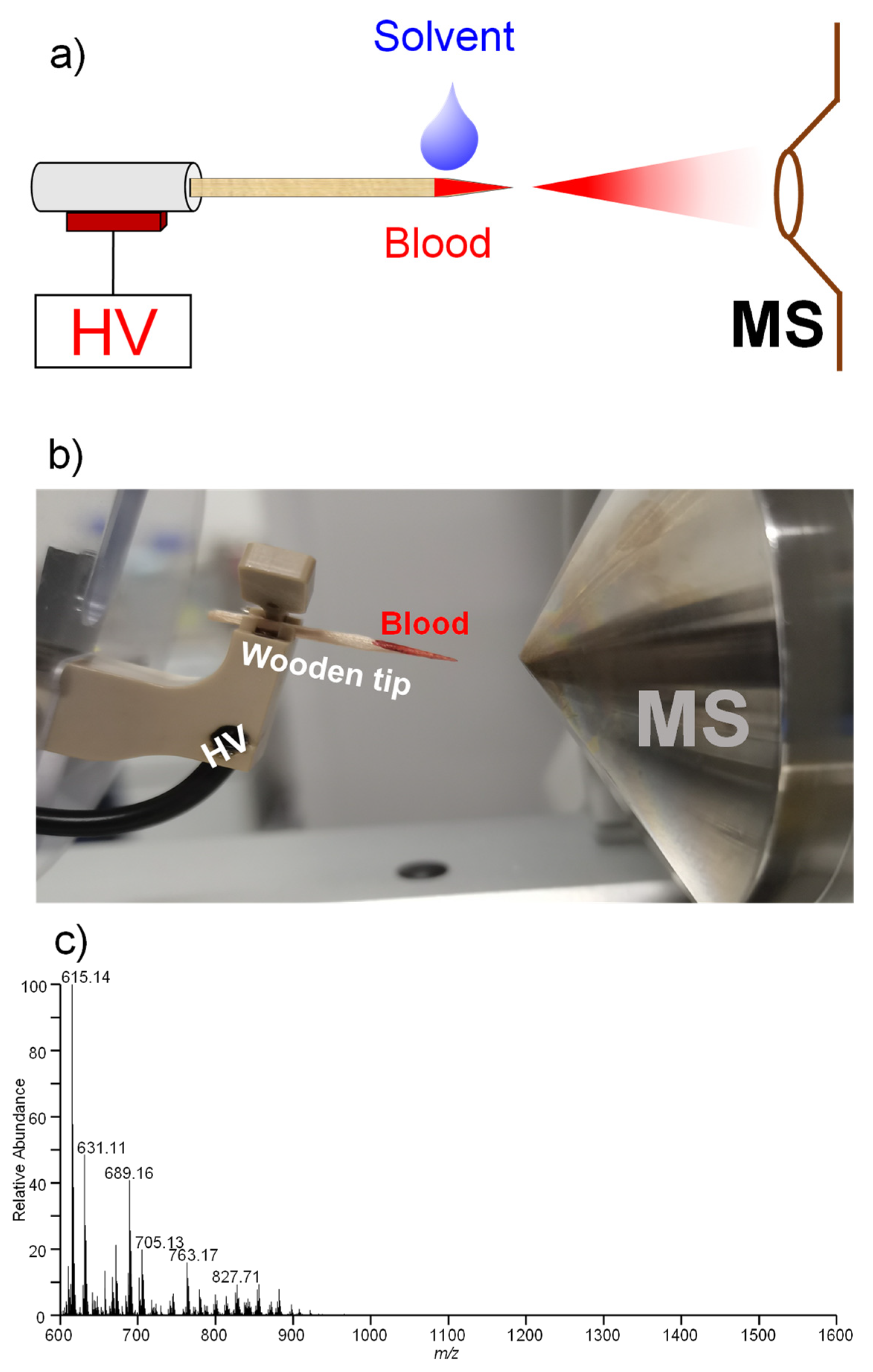 Molecules 27 03952 g001