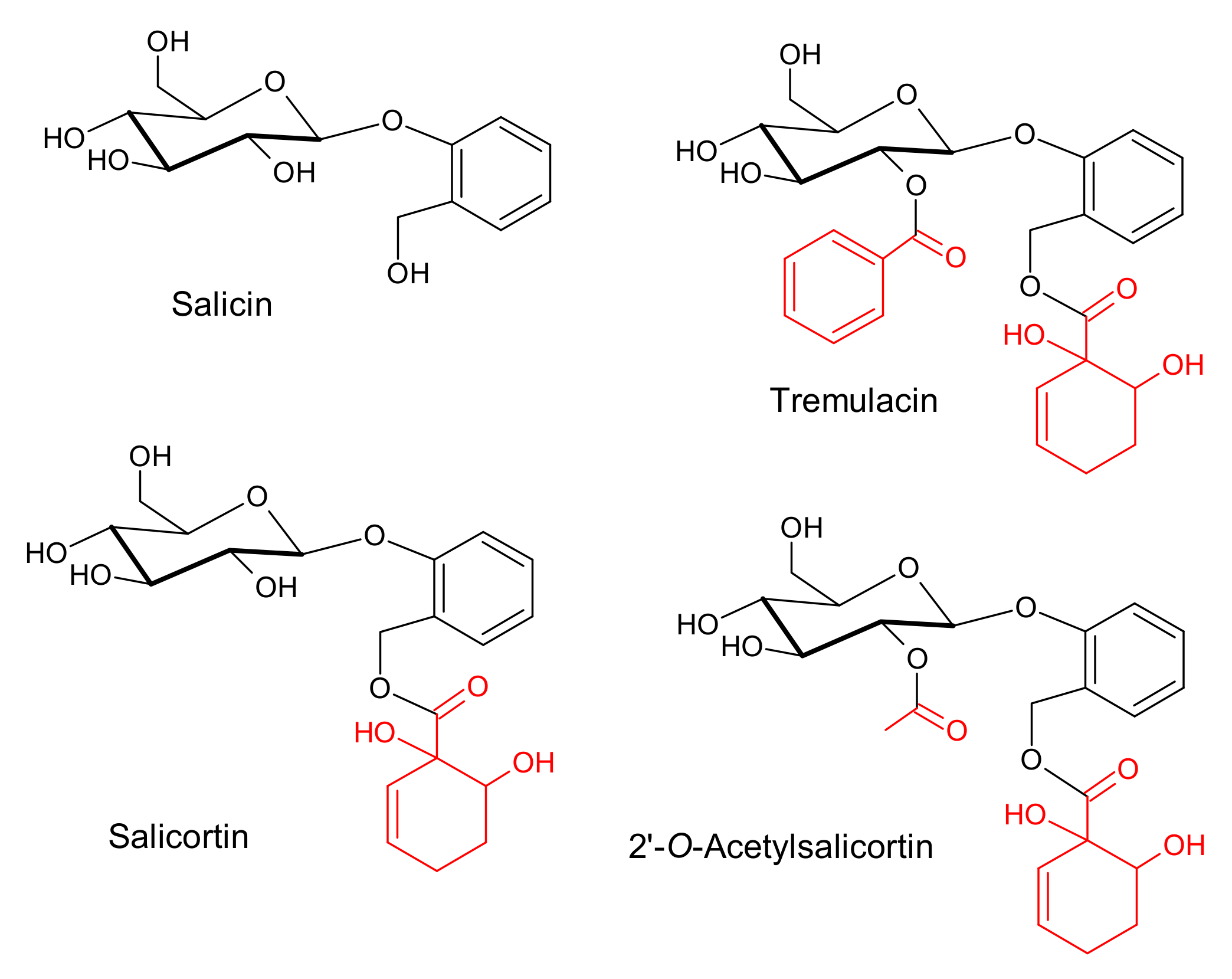 Molecules 27 03954 g001