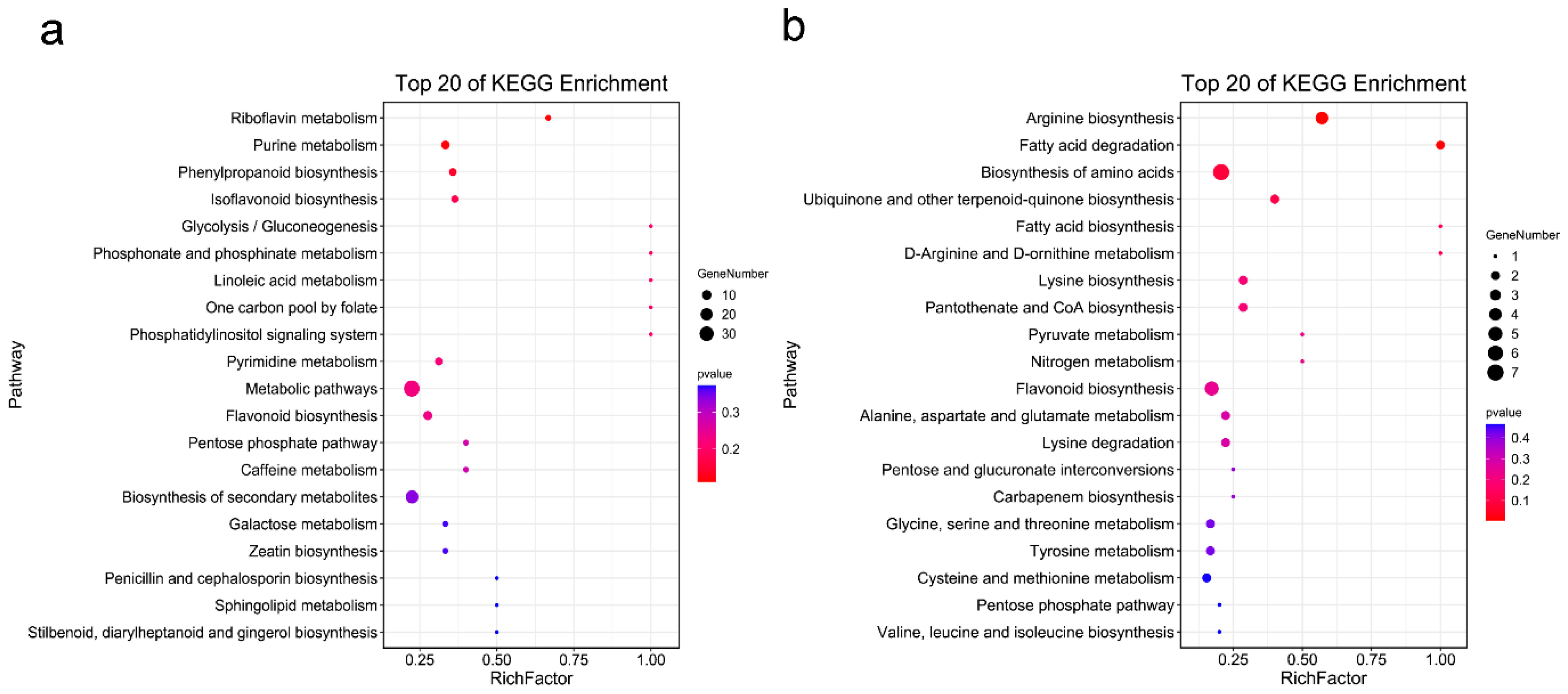 Molecules 27 03967 g006
