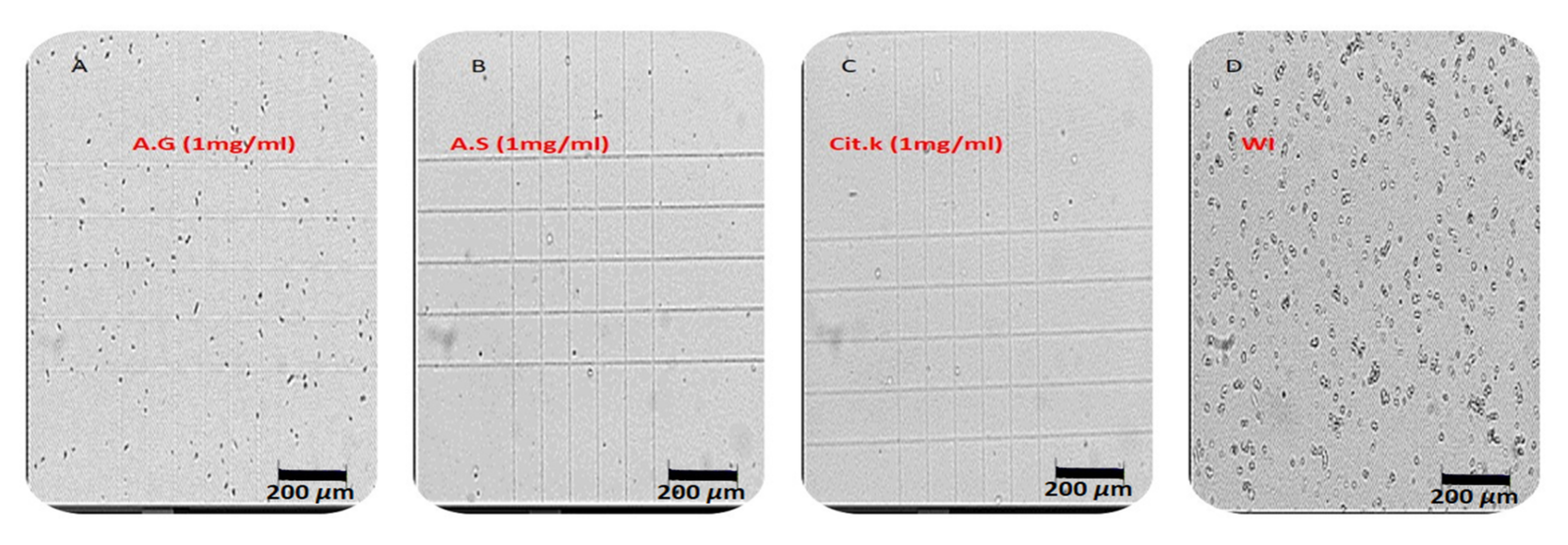 Molecules 27 03973 g006