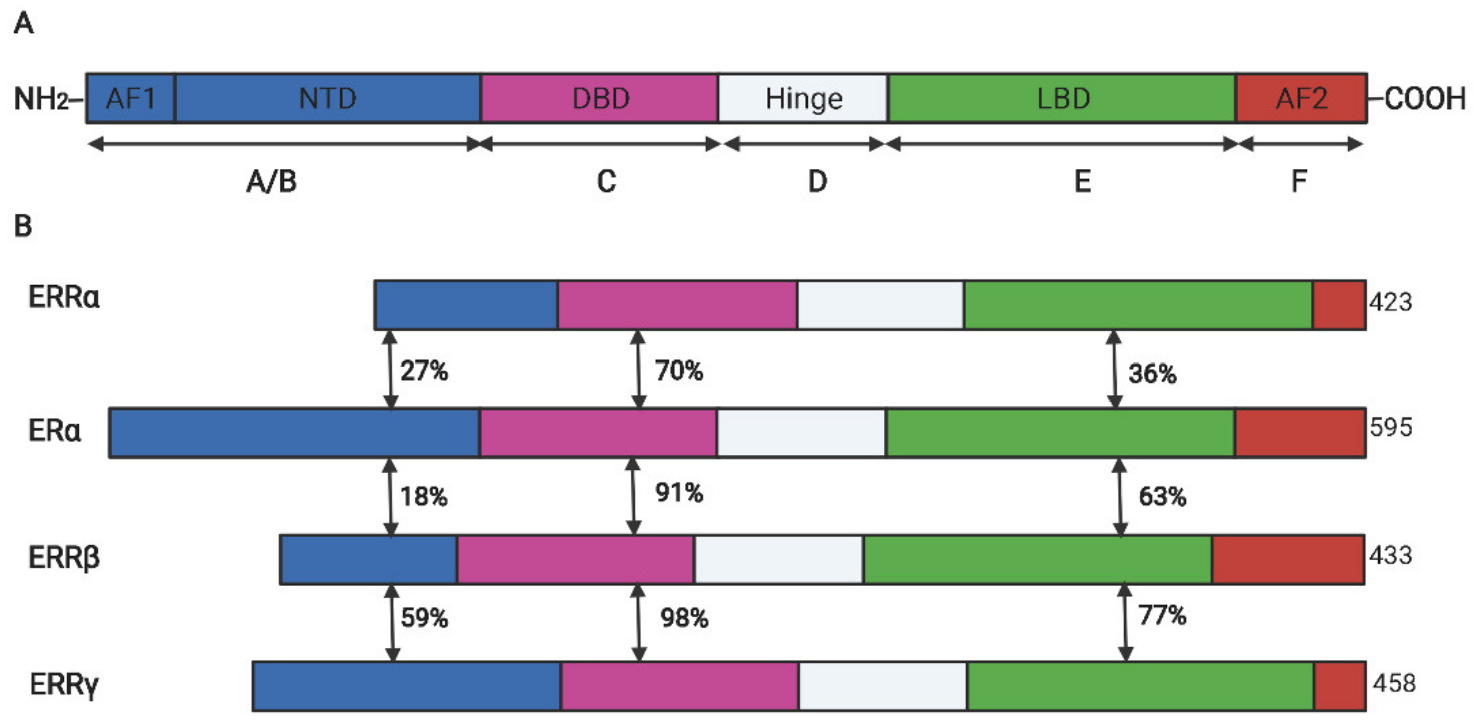 Molecules 27 03976 g001