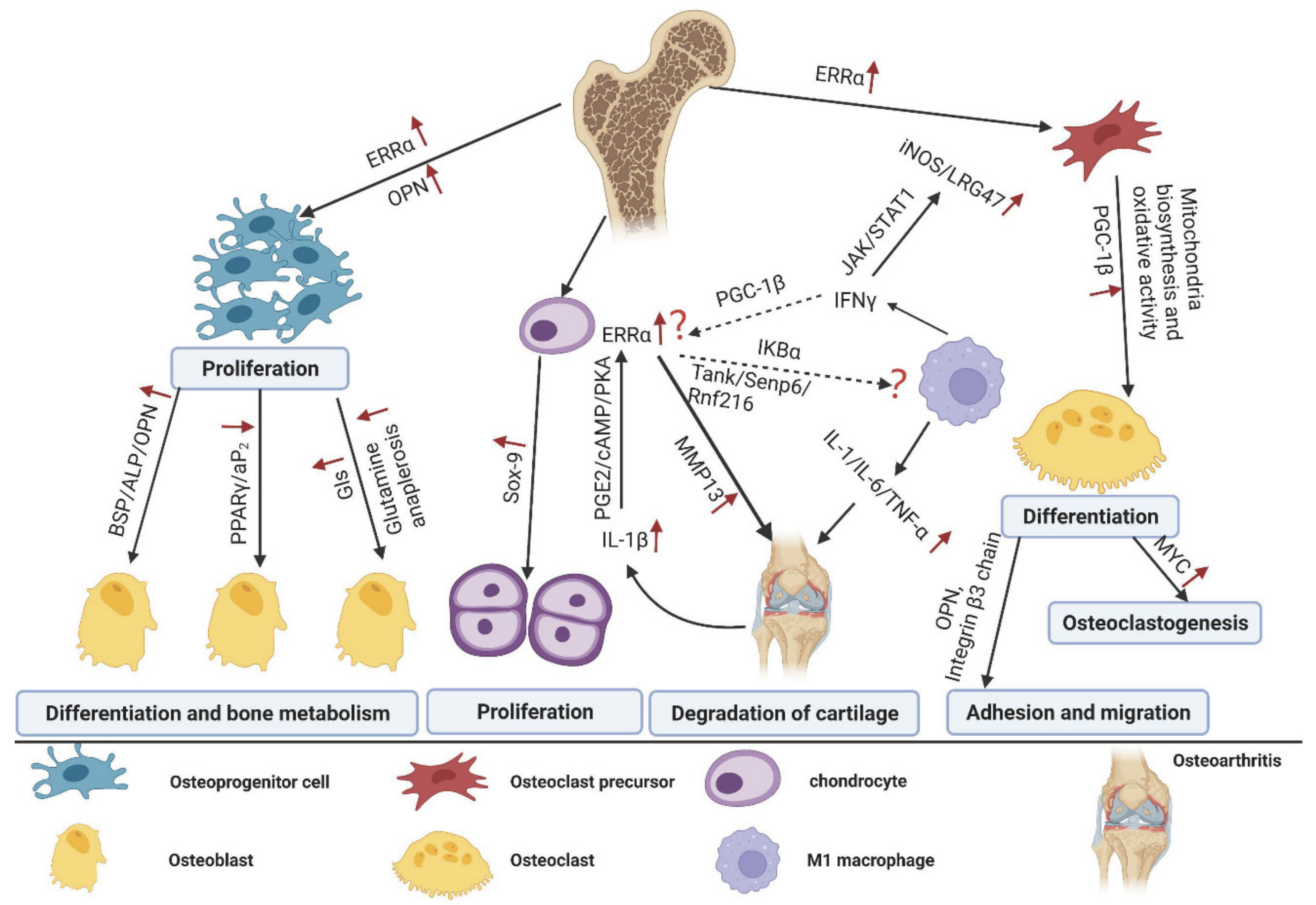 Molecules 27 03976 g002