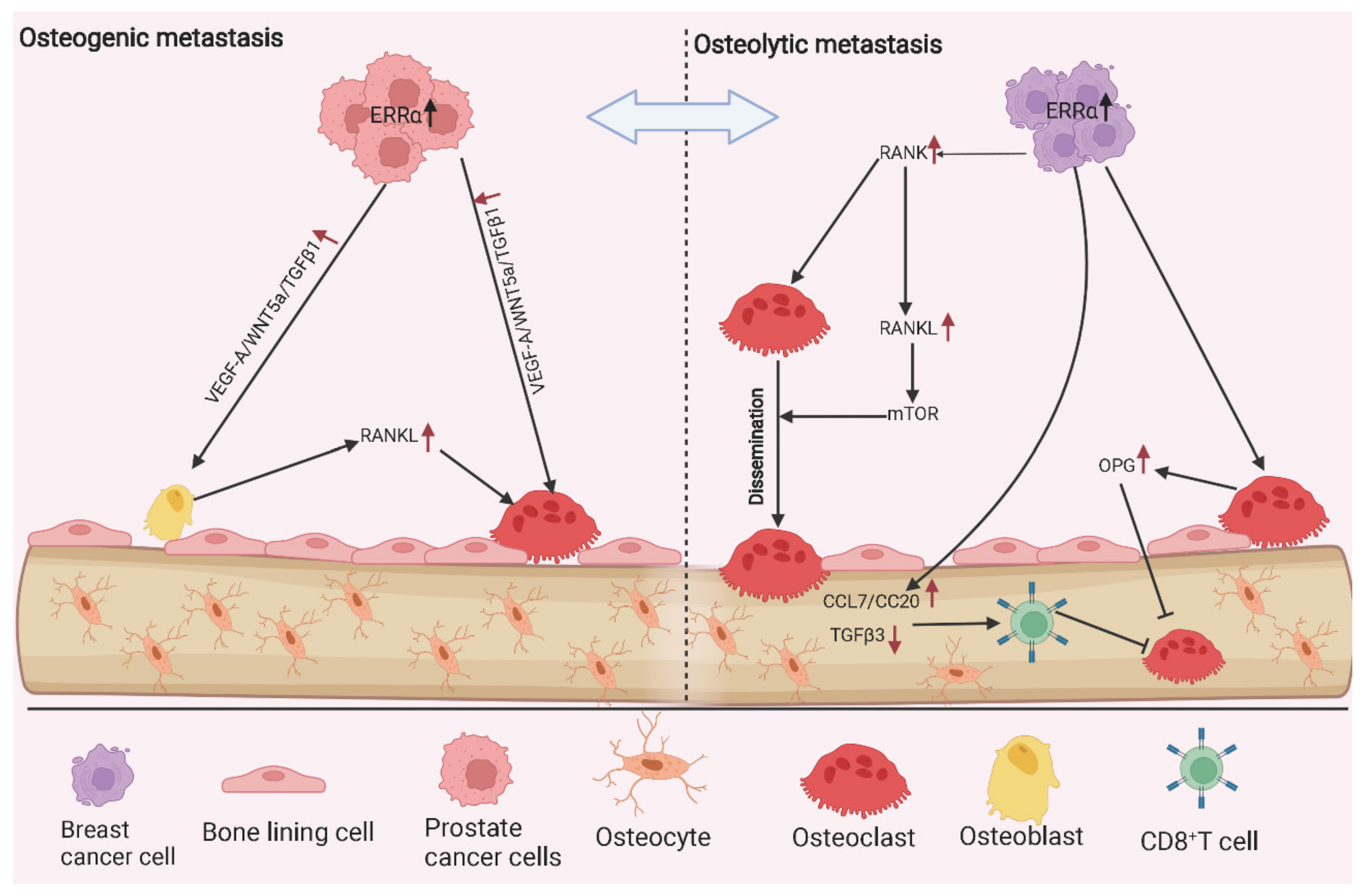 Molecules 27 03976 g003