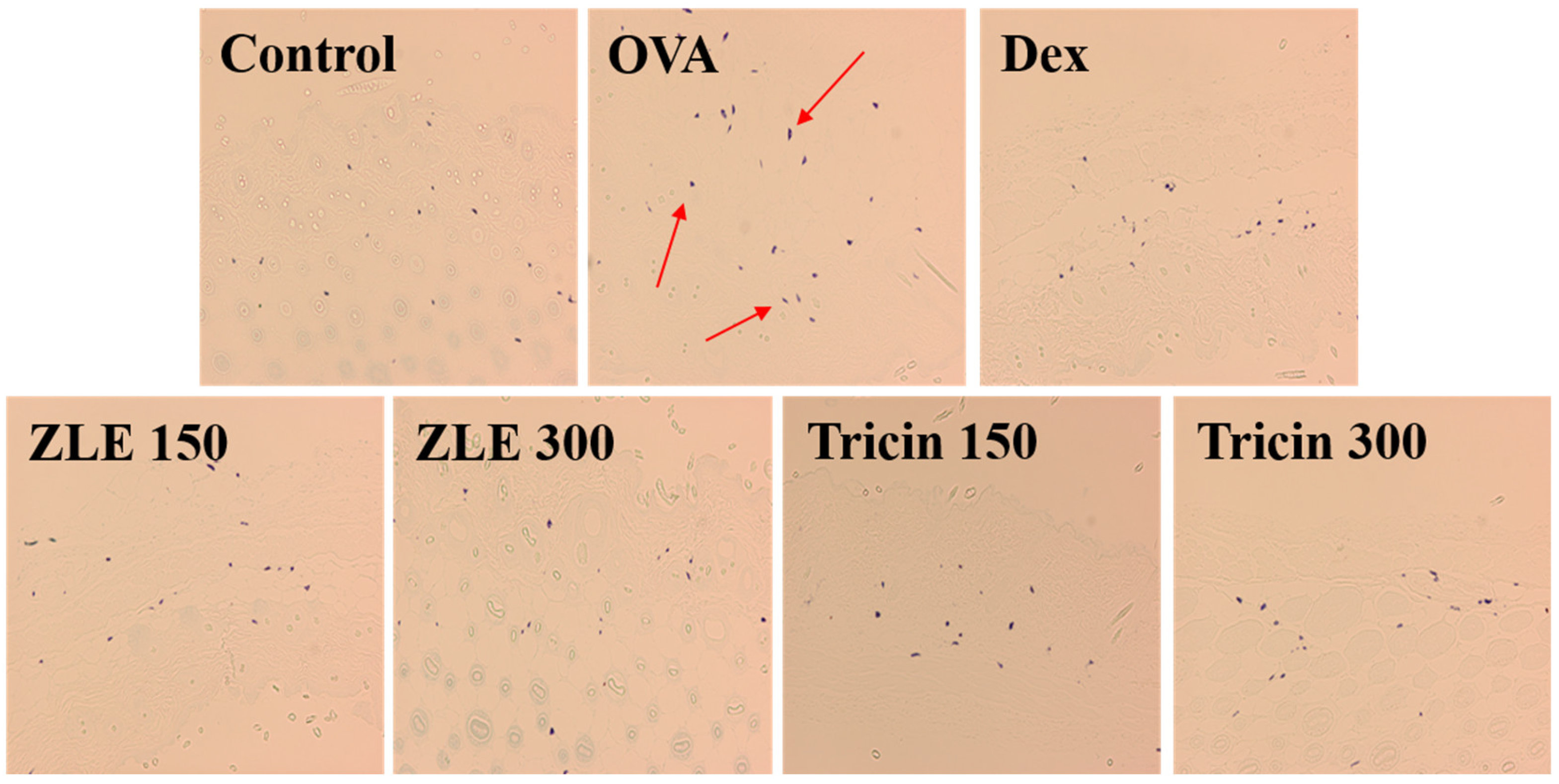 Molecules 27 03978 g006 Molecules 27 03978 g006