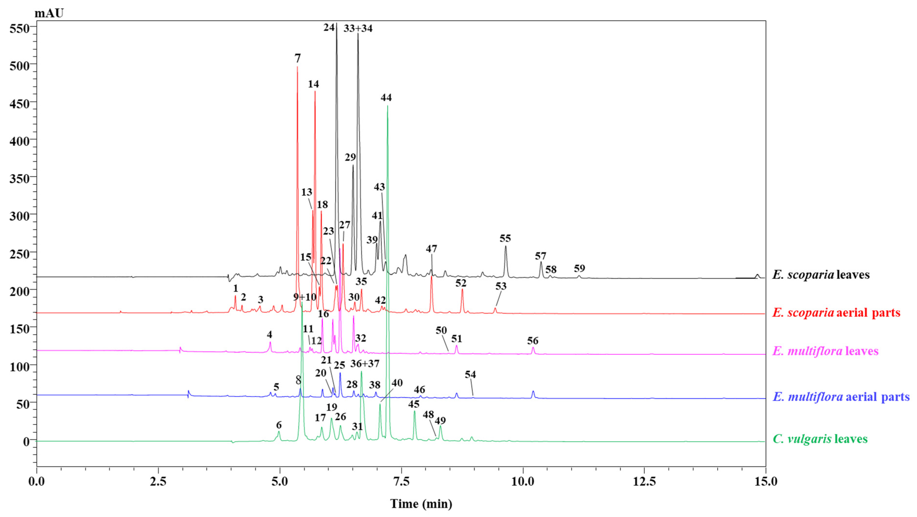 Molecules 27 03979 g001