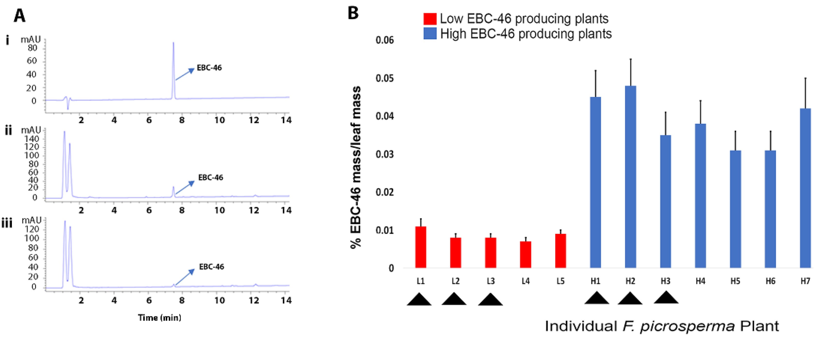 Molecules 27 03980 g001