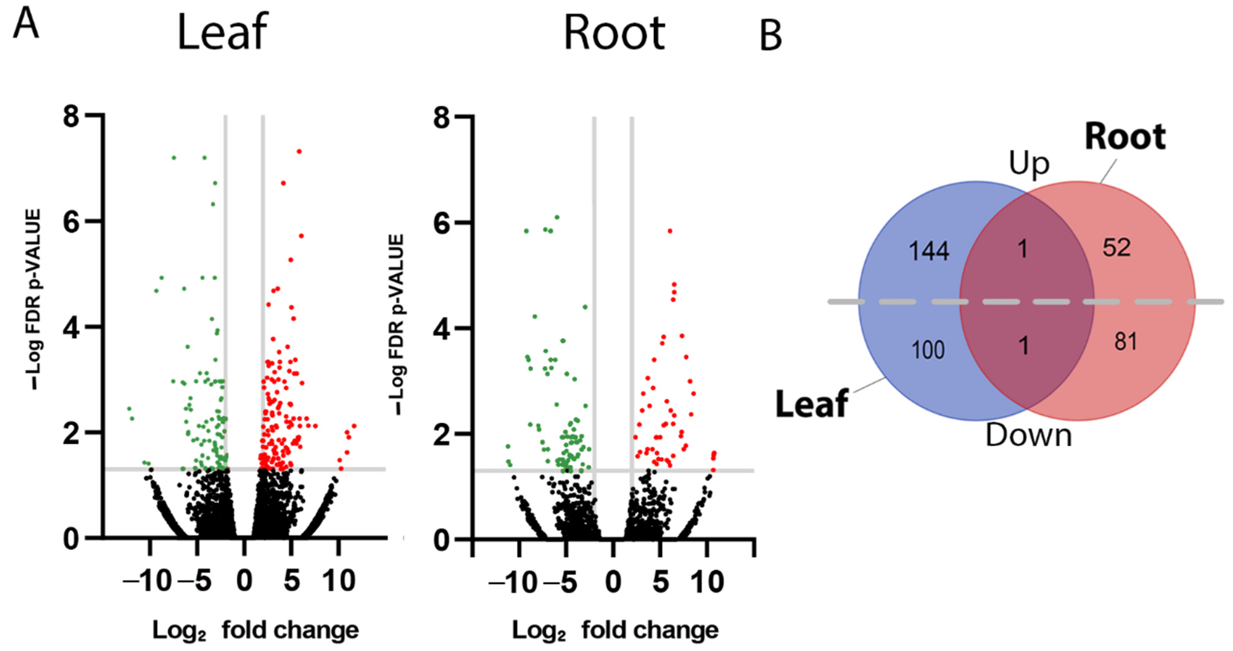 Molecules 27 03980 g002